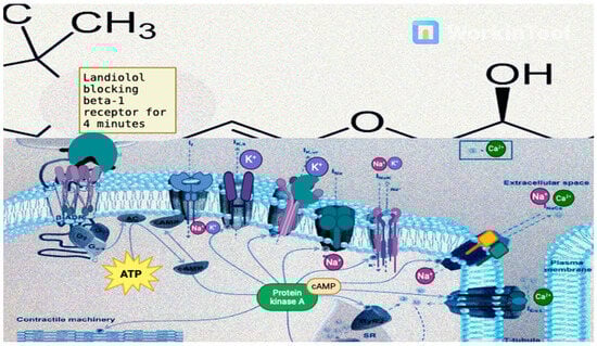 Pharmaceutics 16 00517 g001