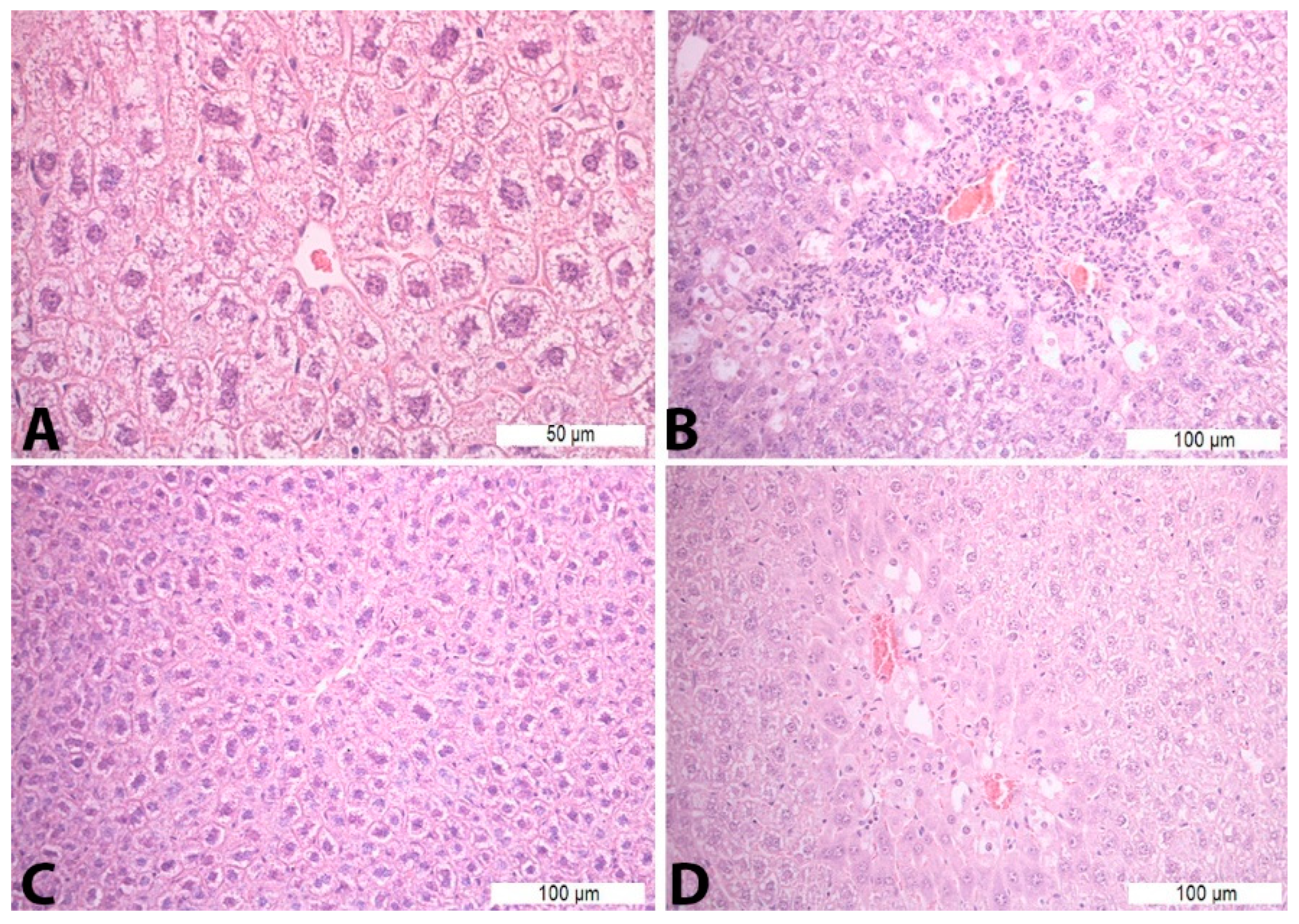 Pharmaceutics 16 00520 g001