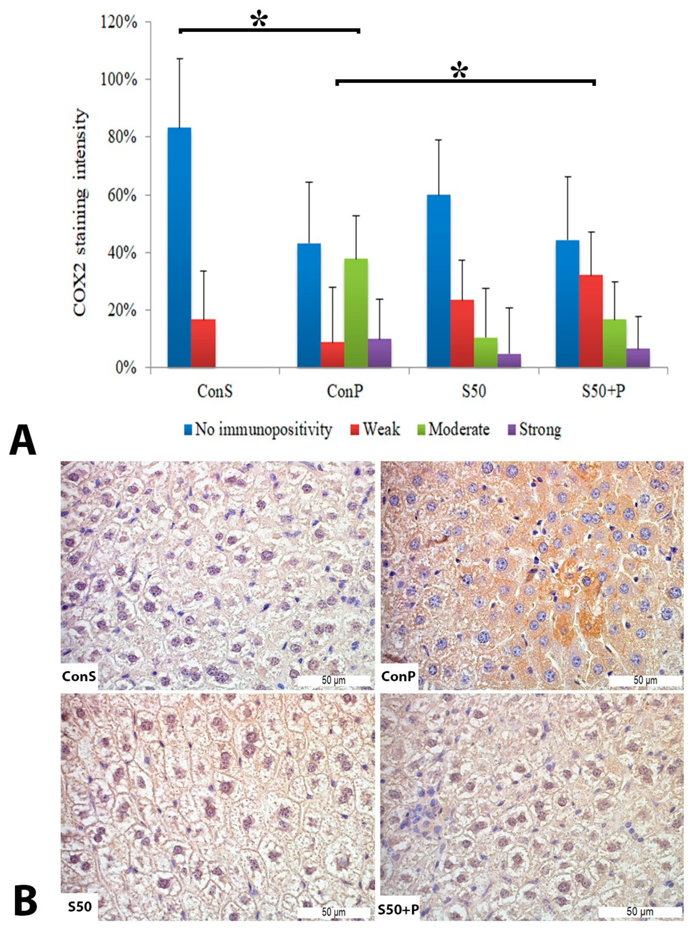 Pharmaceutics 16 00520 g002