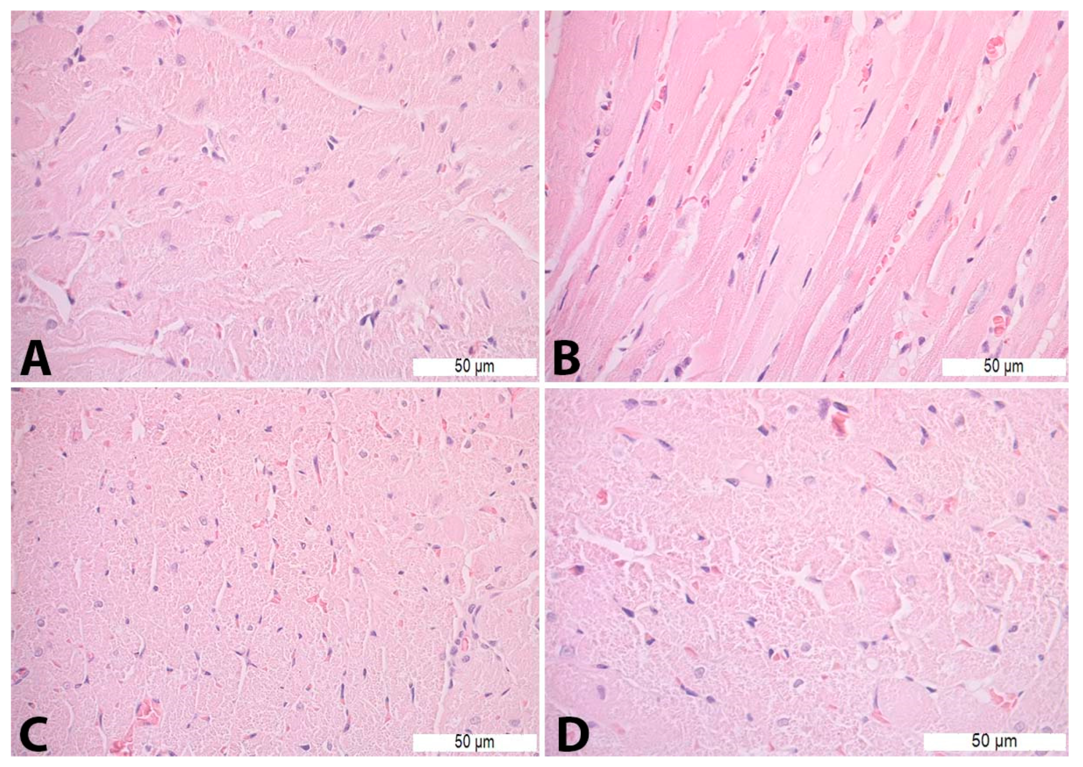 Pharmaceutics 16 00520 g005