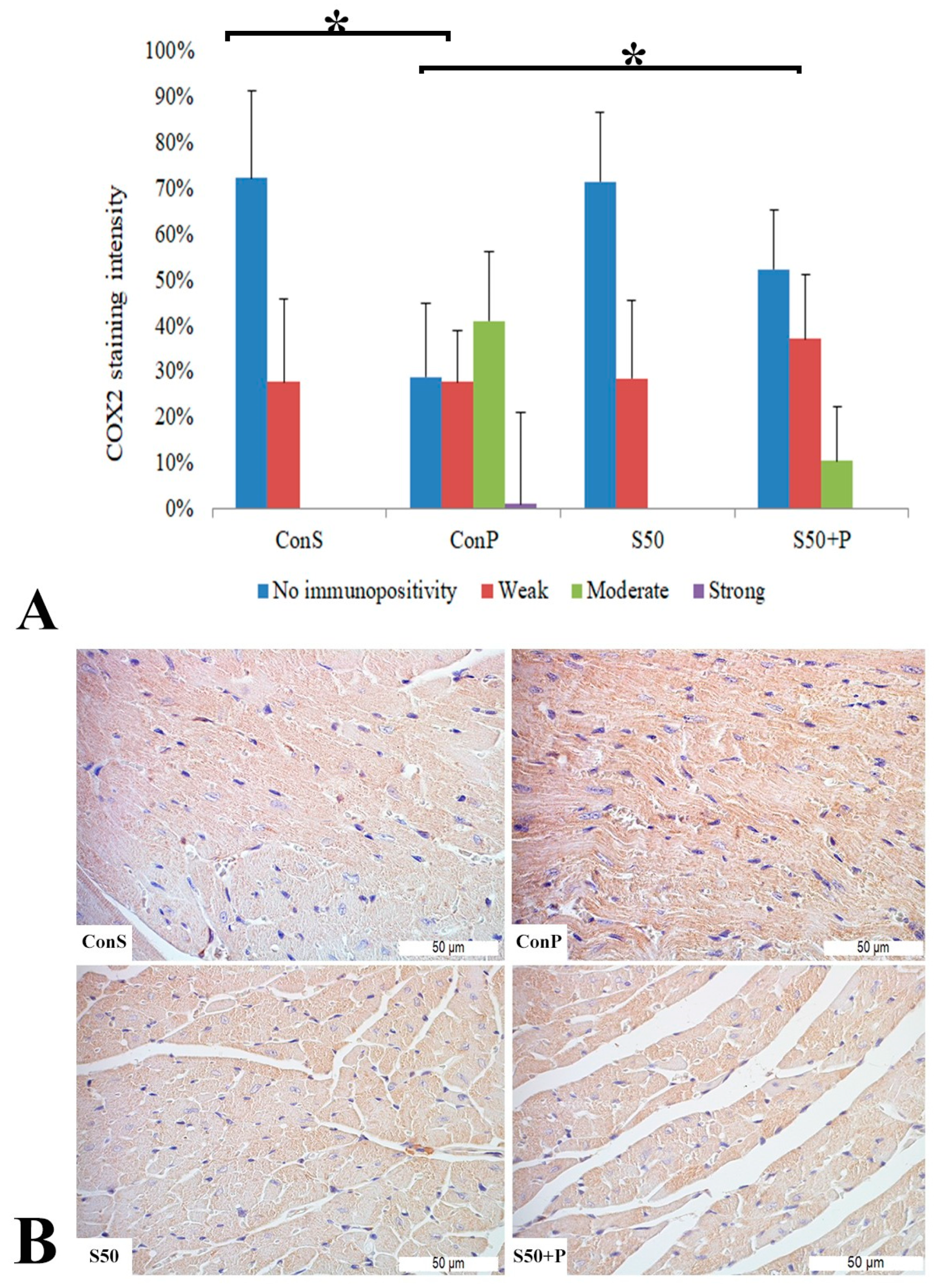 Pharmaceutics 16 00520 g006