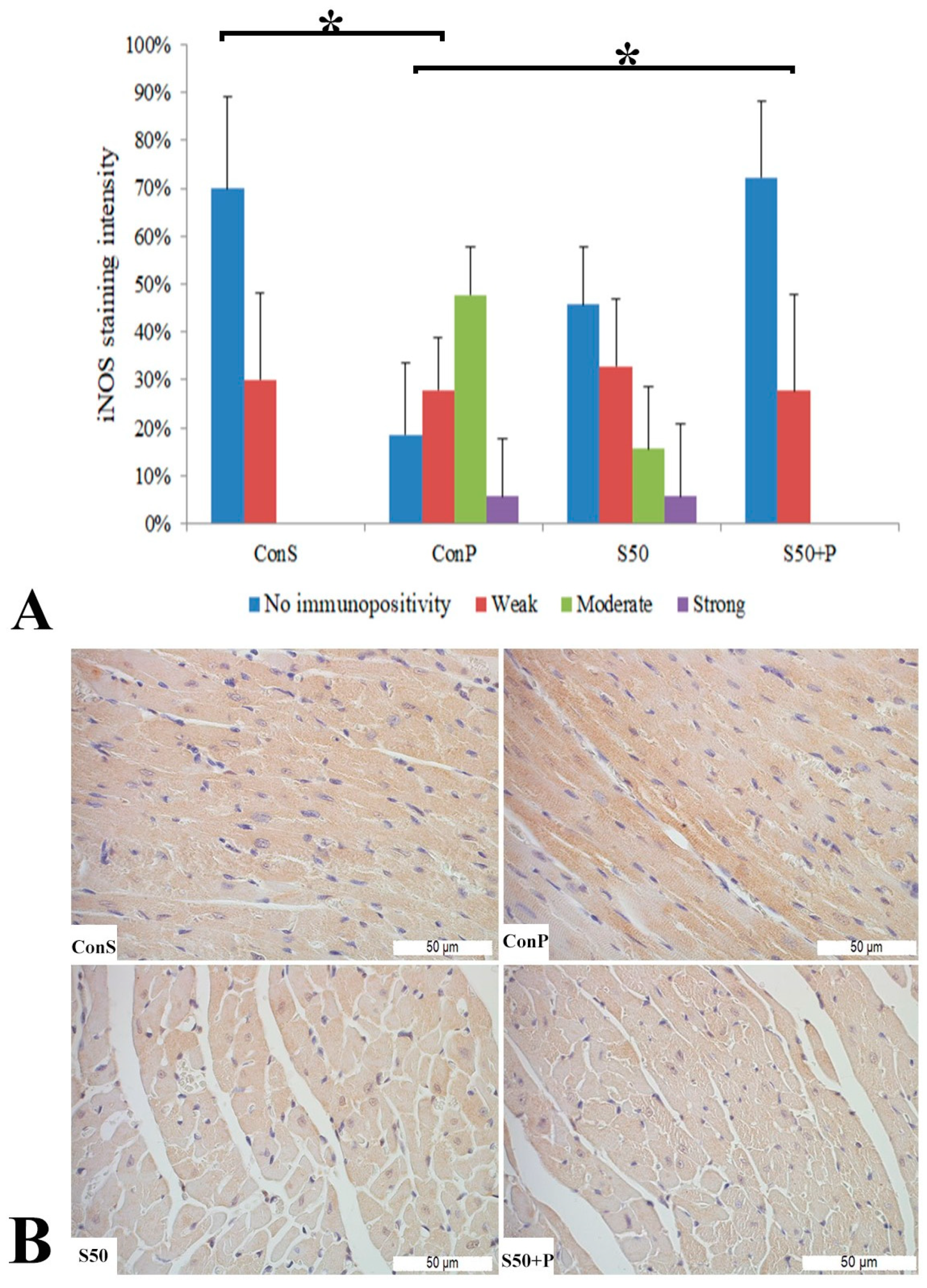 Pharmaceutics 16 00520 g007