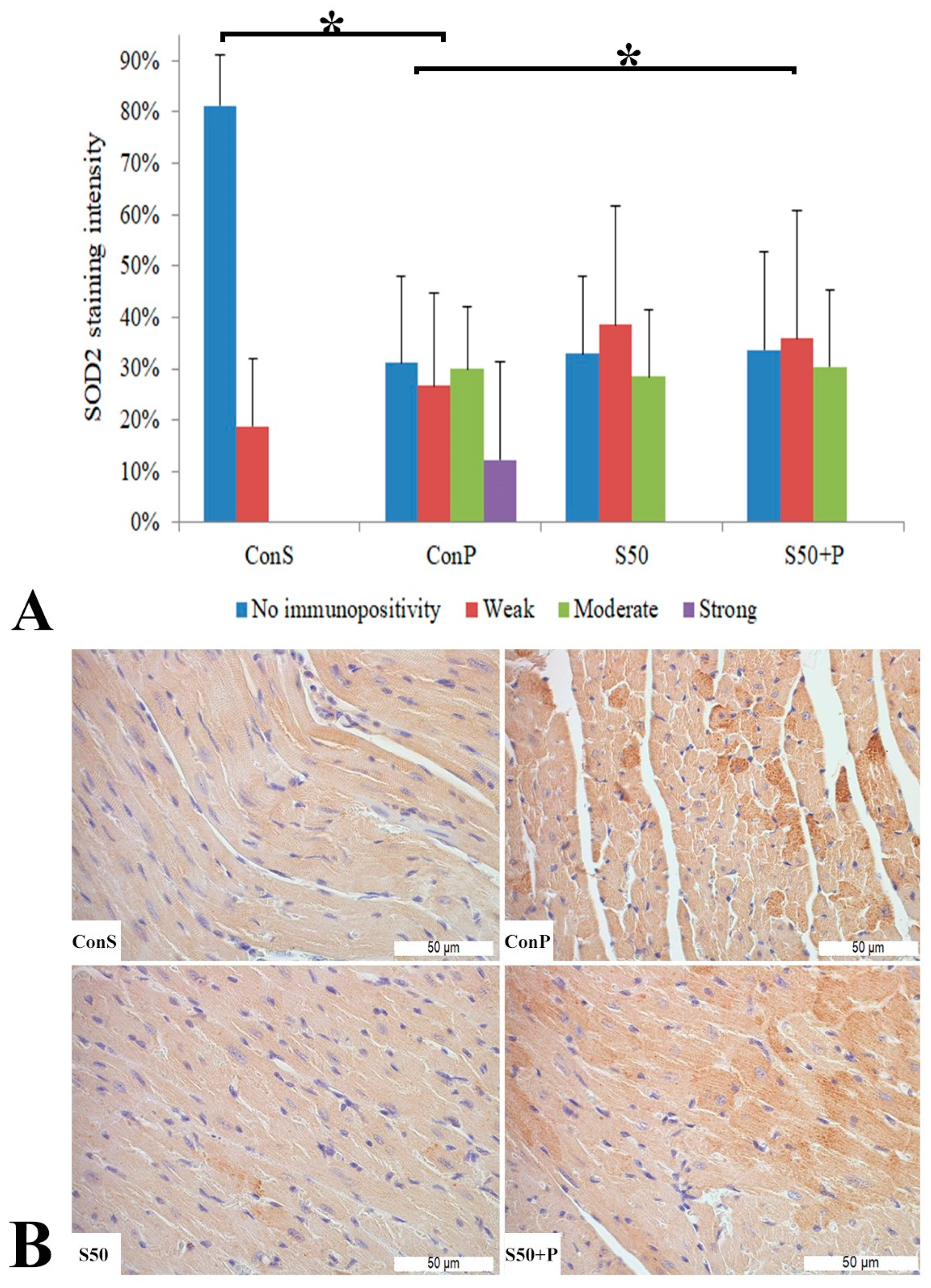 Pharmaceutics 16 00520 g008