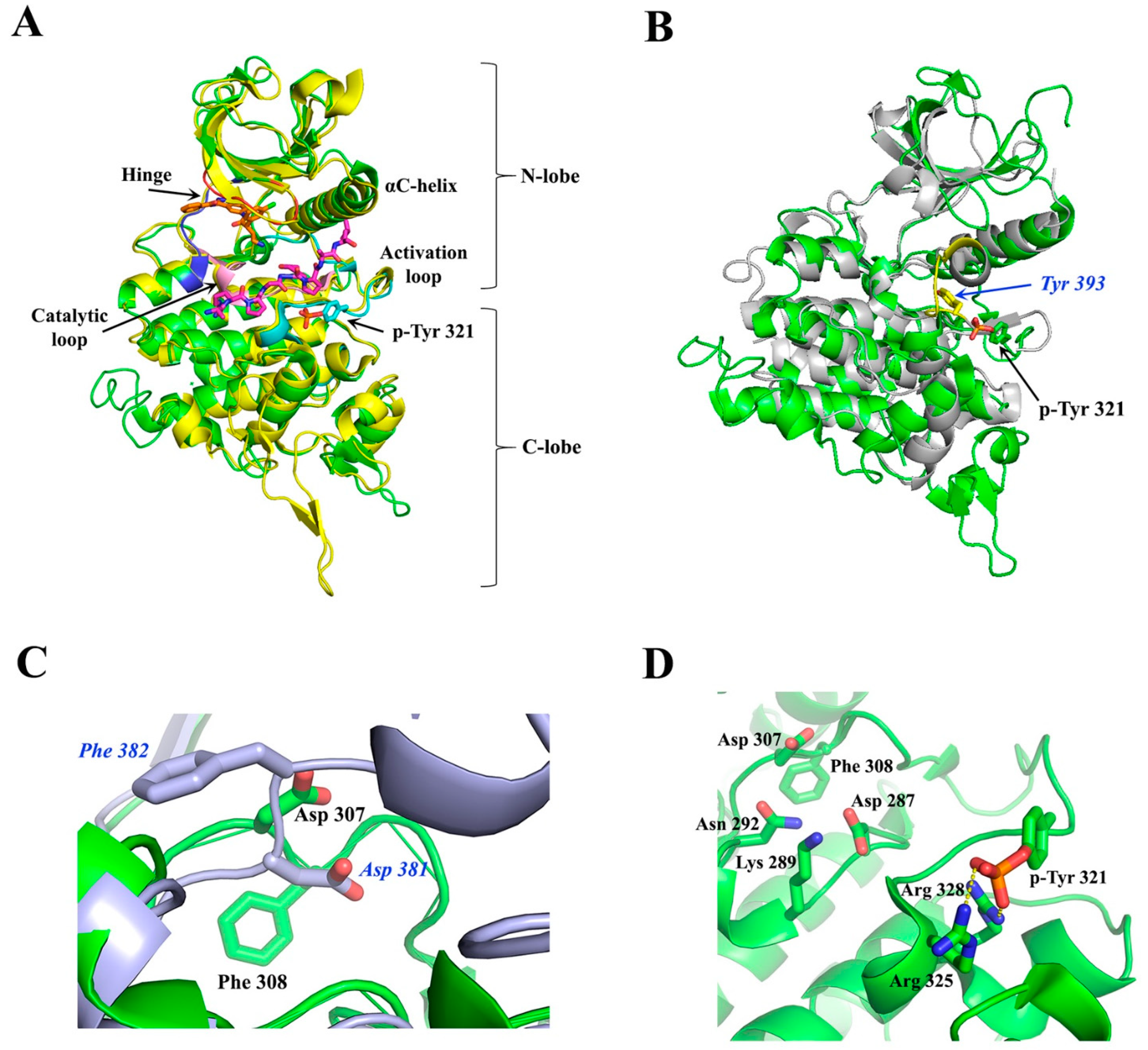 Pharmaceutics 16 00528 g005 Pharmaceutics 16 00528 g005