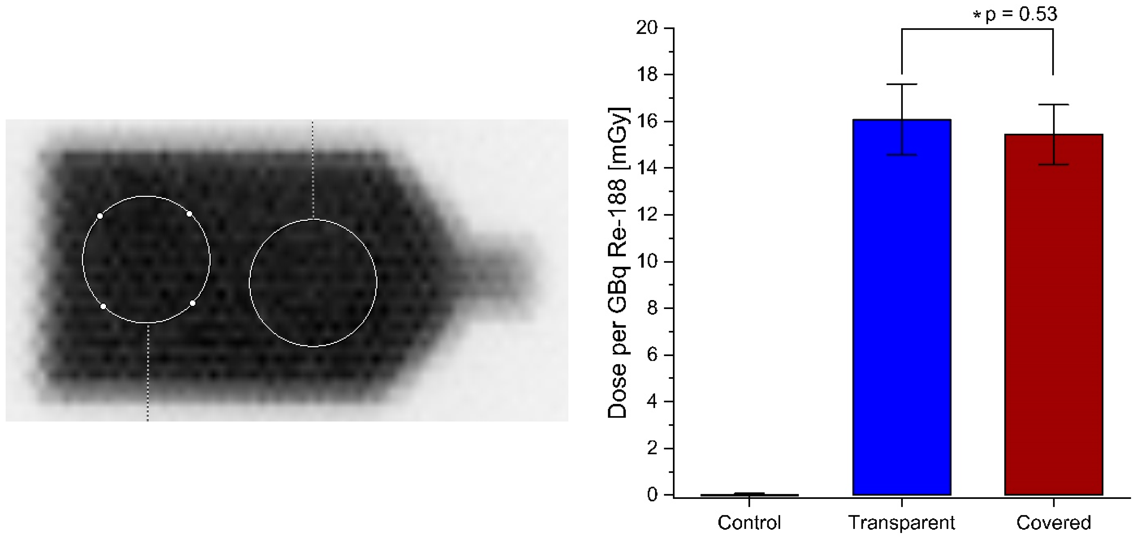 Pharmaceutics 16 00534 g007