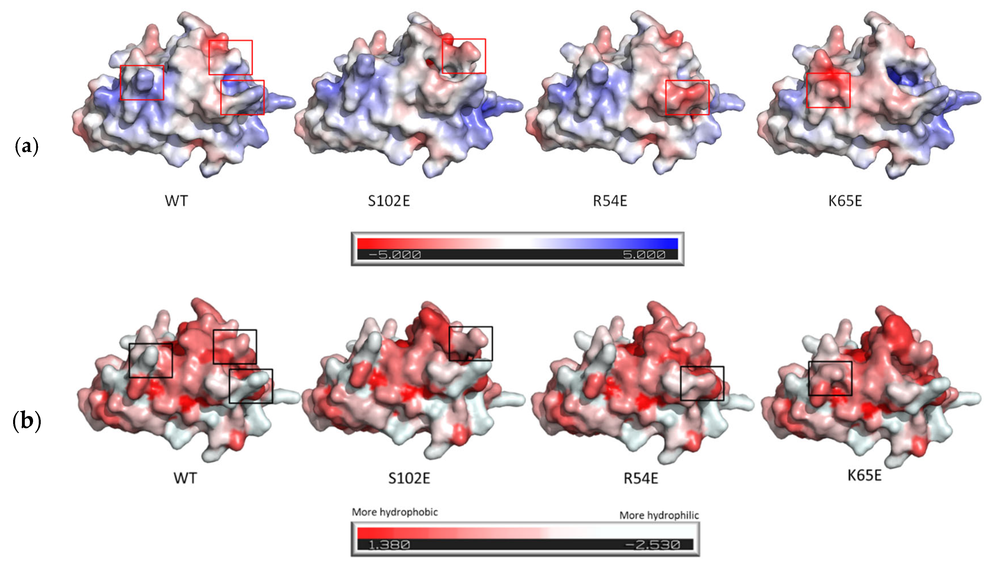 Pharmaceutics 16 00539 g005