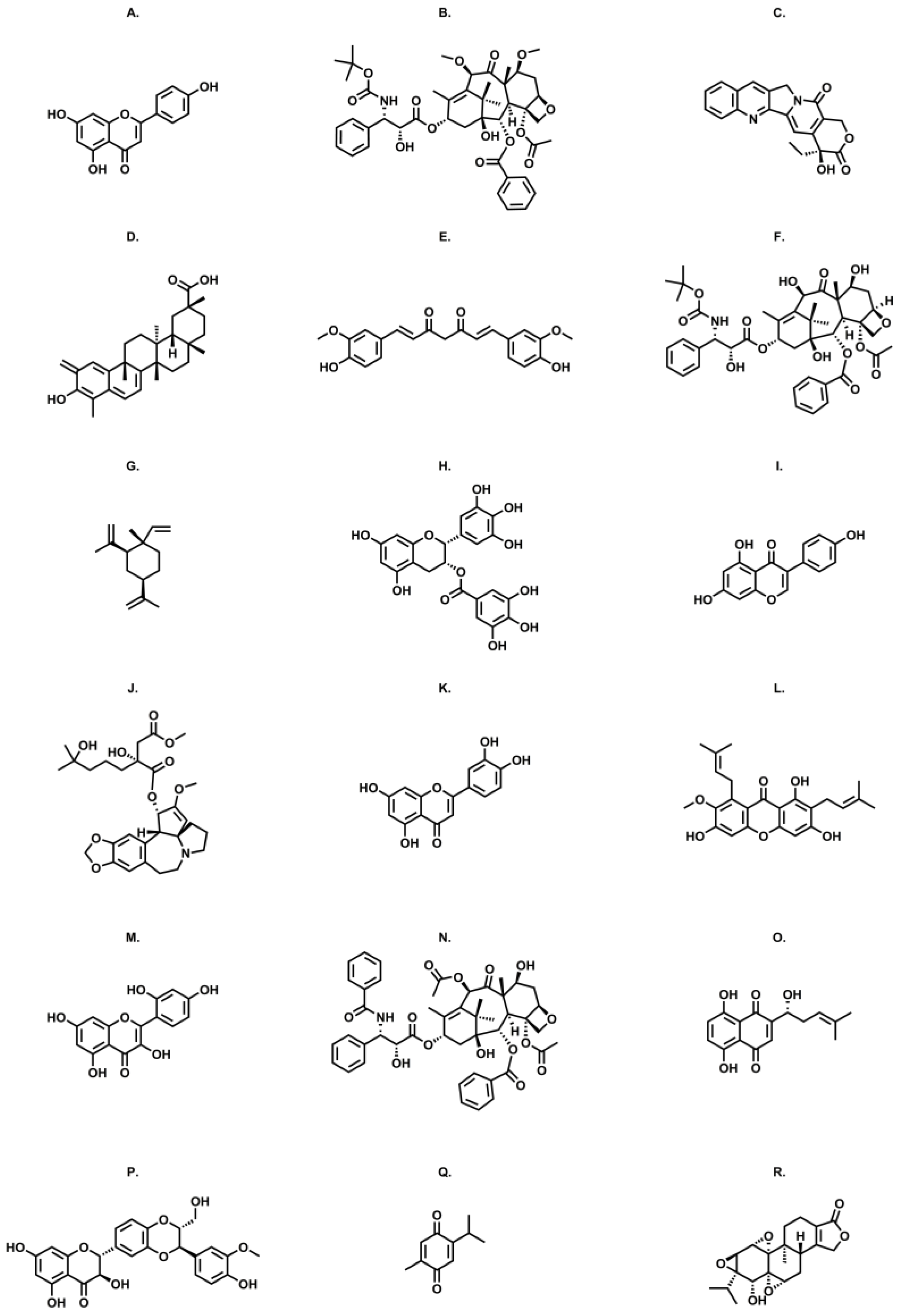 Pharmaceutics 16 00541 g002 Pharmaceutics 16 00541 g002