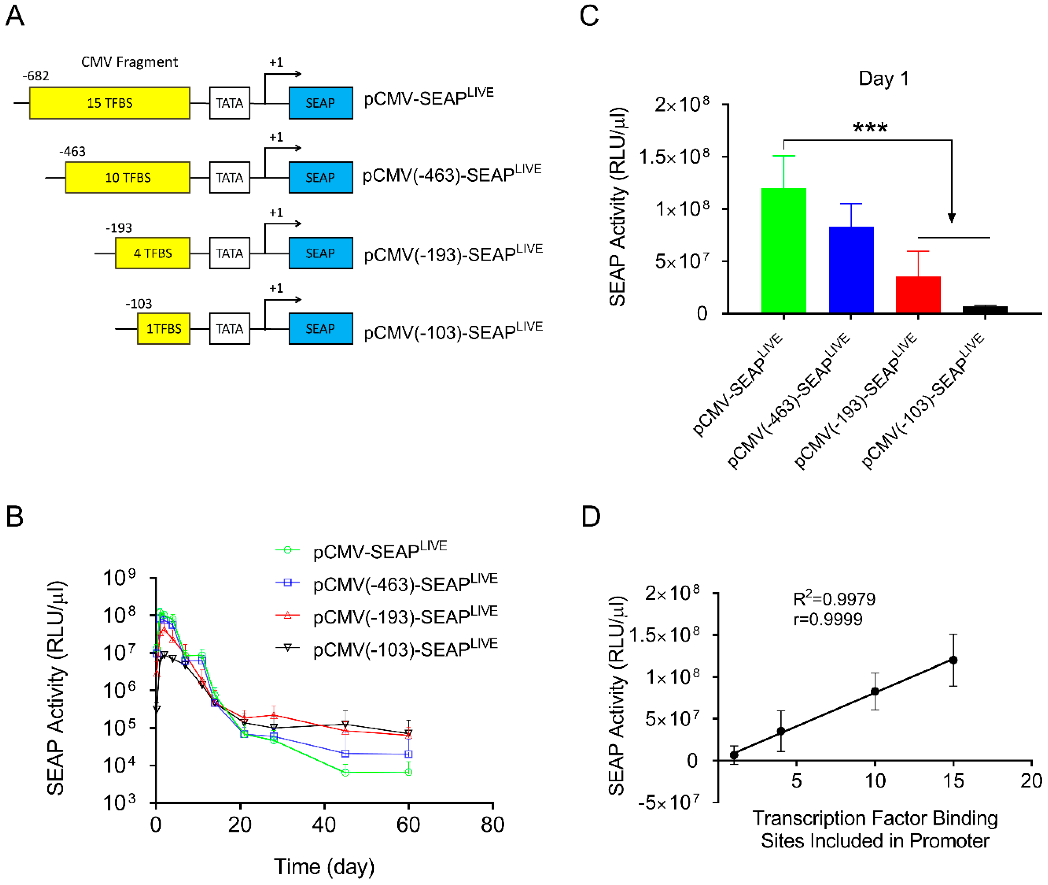 Pharmaceutics 16 00544 g003