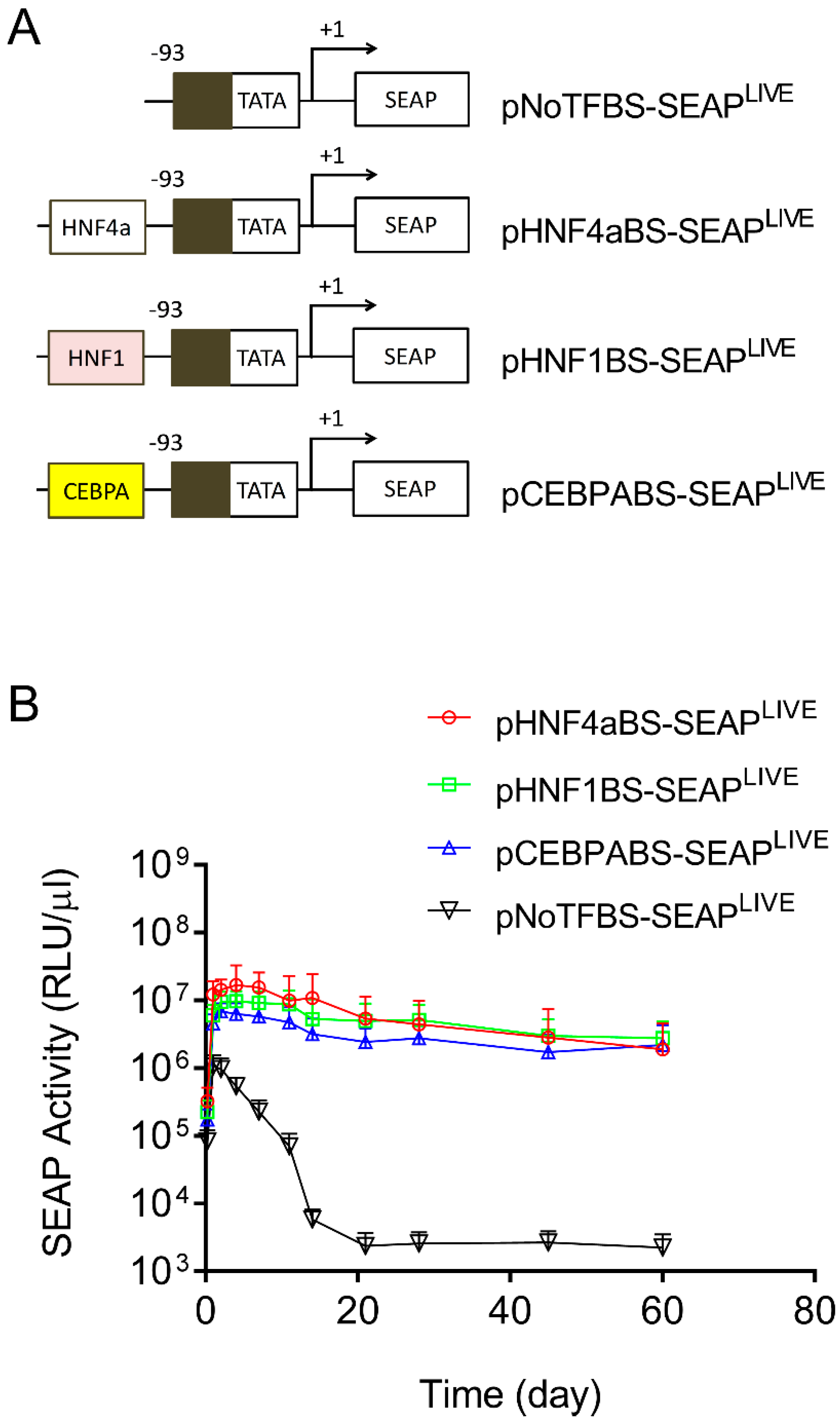 Pharmaceutics 16 00544 g004