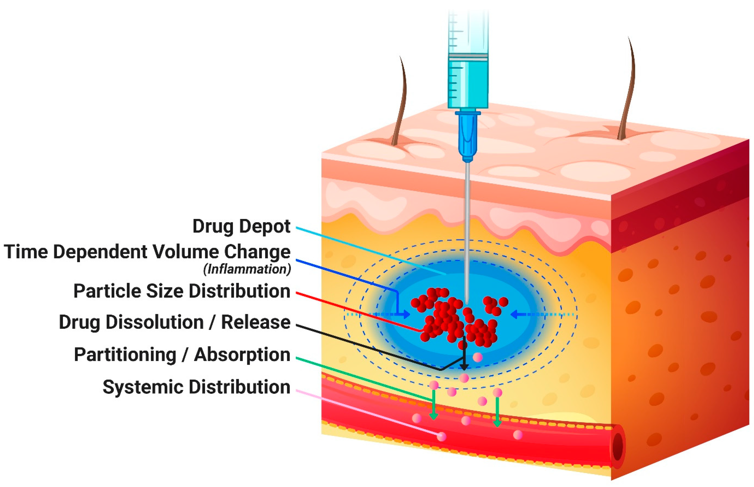 Pharmaceutics 16 00552 g001