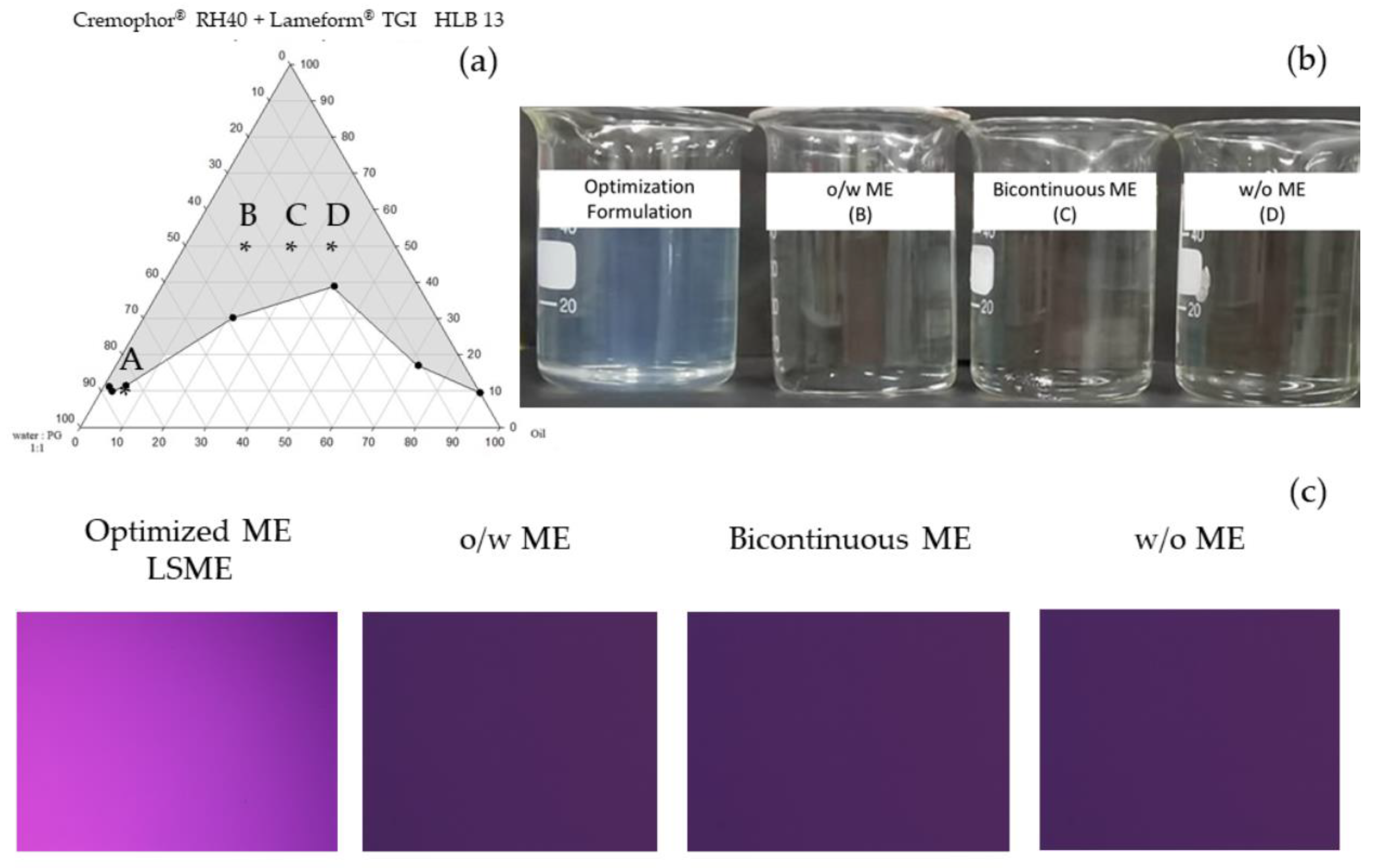 Pharmaceutics 16 00554 g004