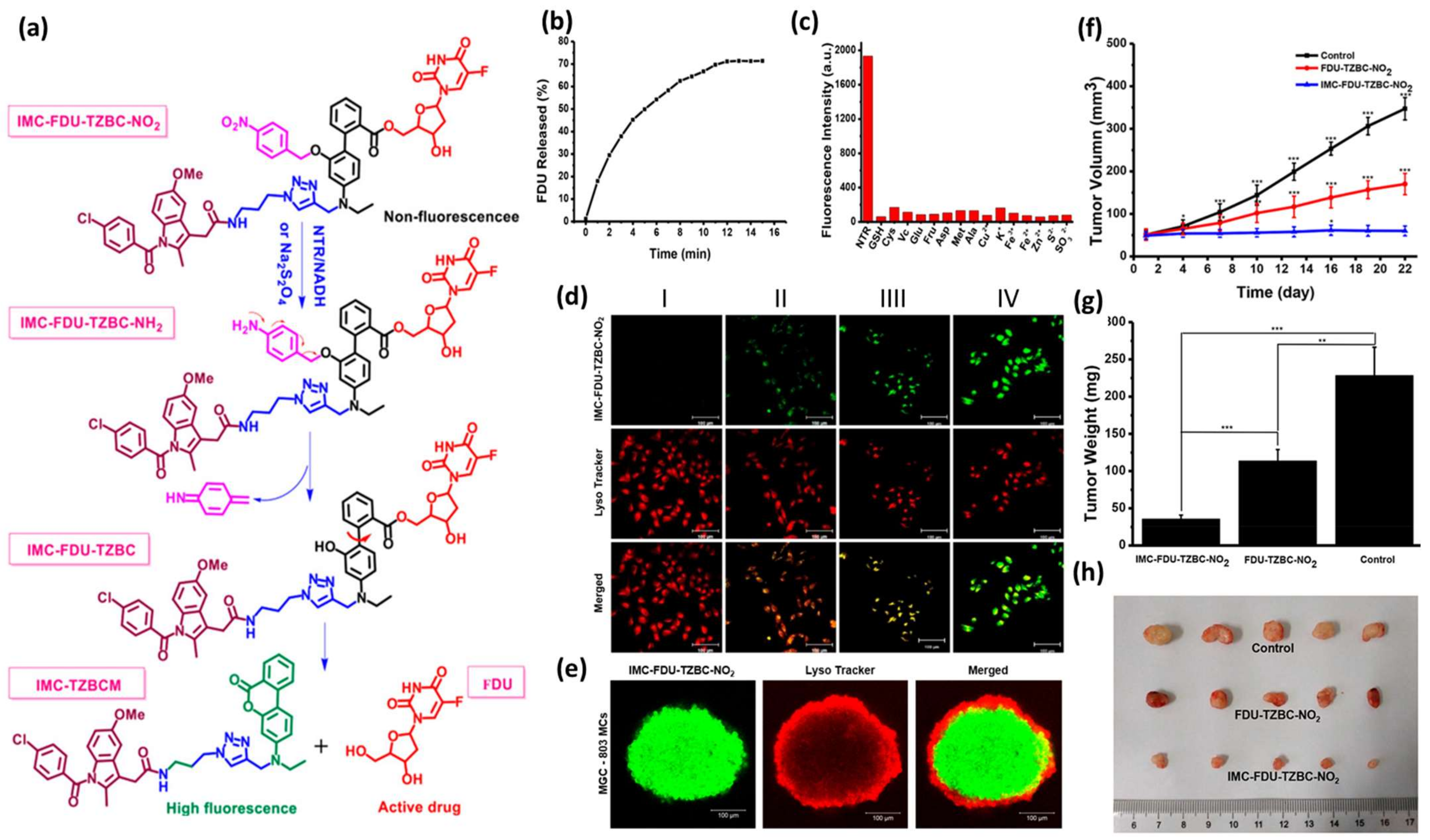 Pharmaceutics 16 00557 g002