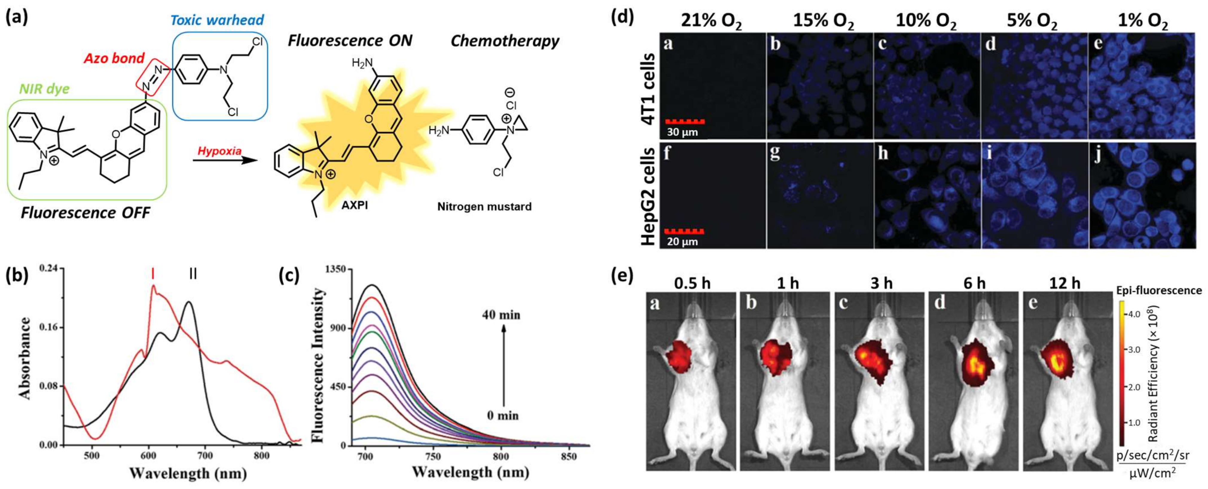 Pharmaceutics 16 00557 g003