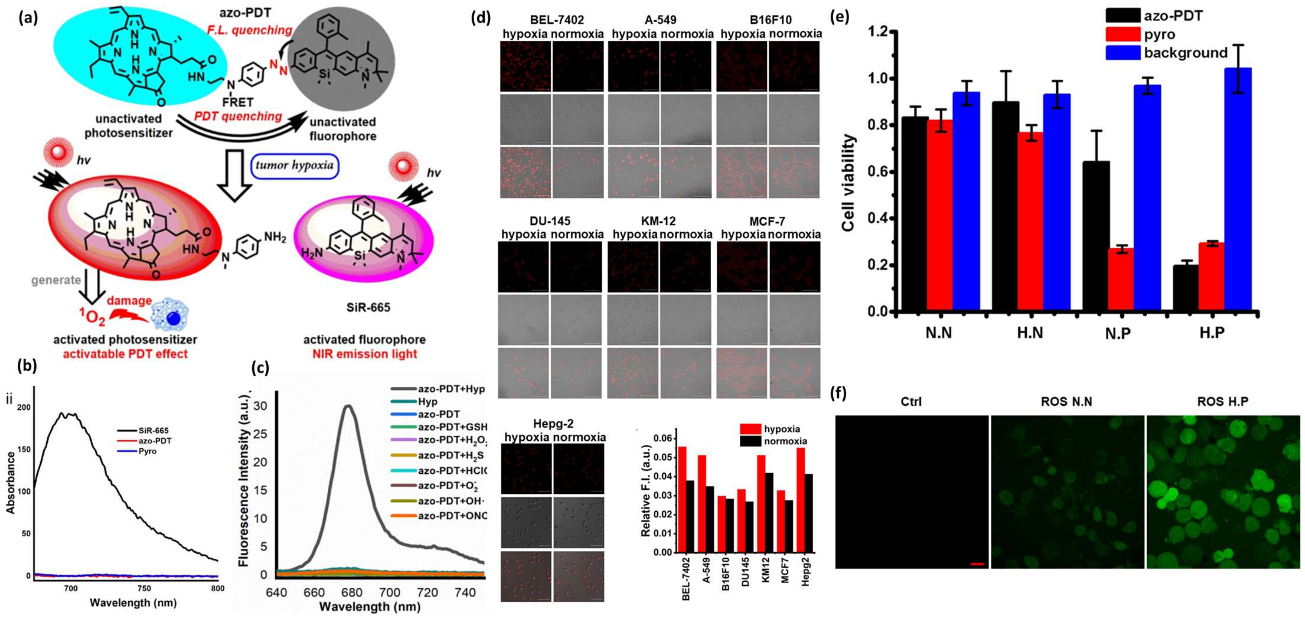 Pharmaceutics 16 00557 g004