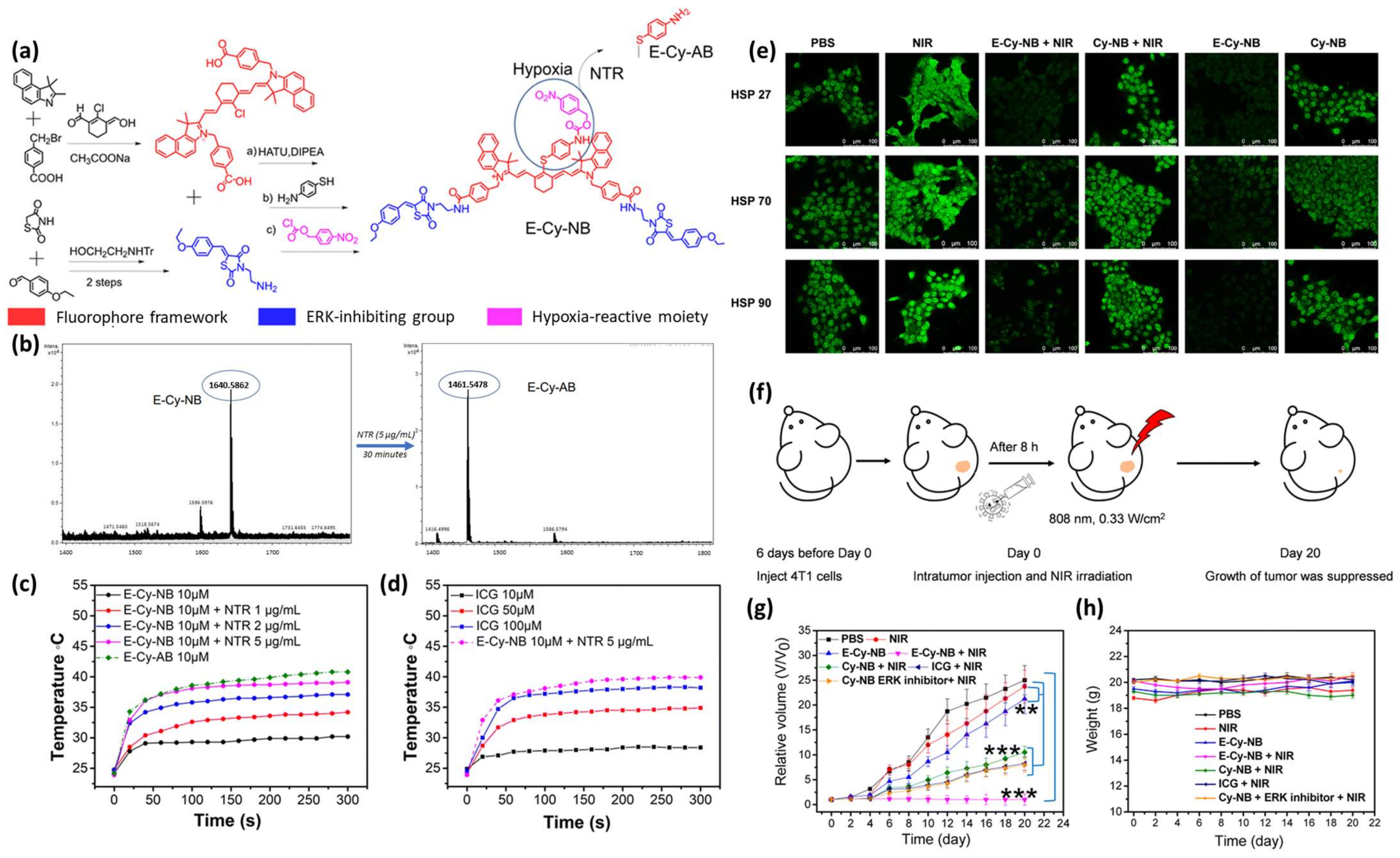 Pharmaceutics 16 00557 g005