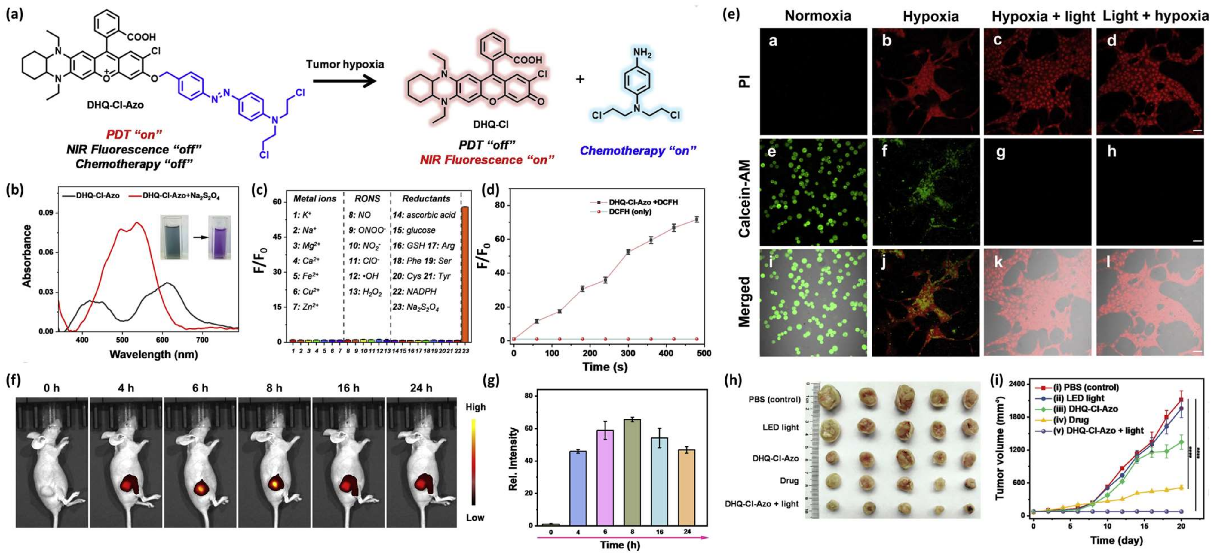 Pharmaceutics 16 00557 g006