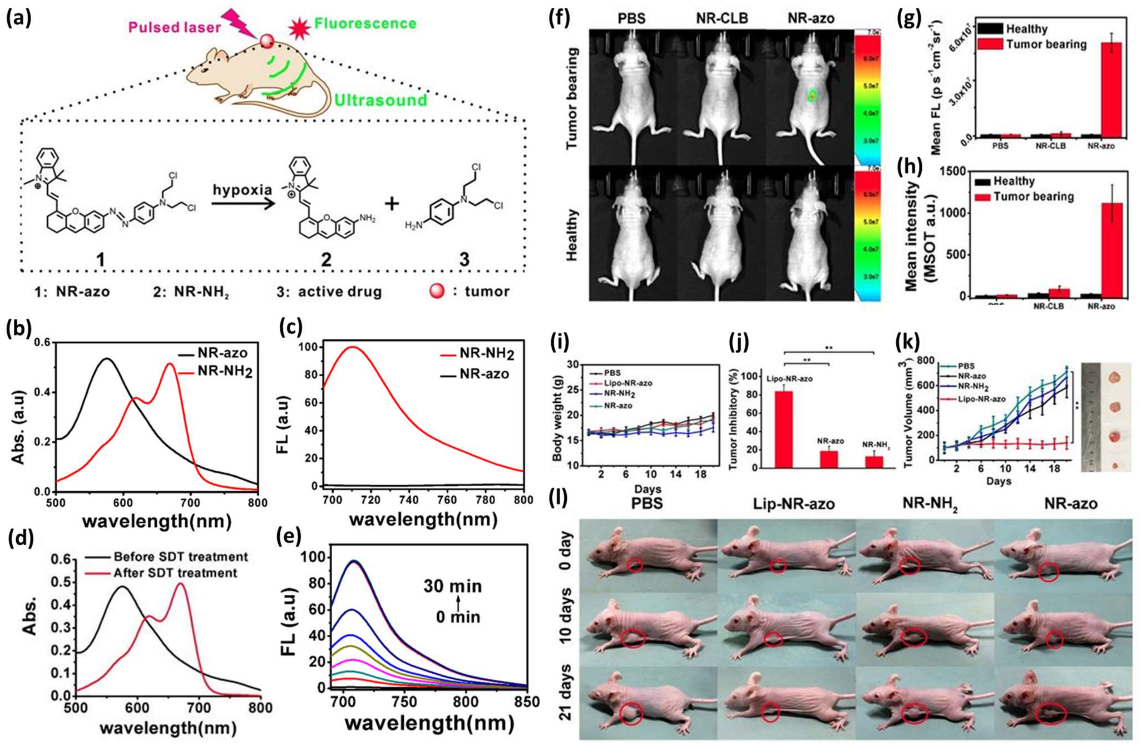 Pharmaceutics 16 00557 g007
