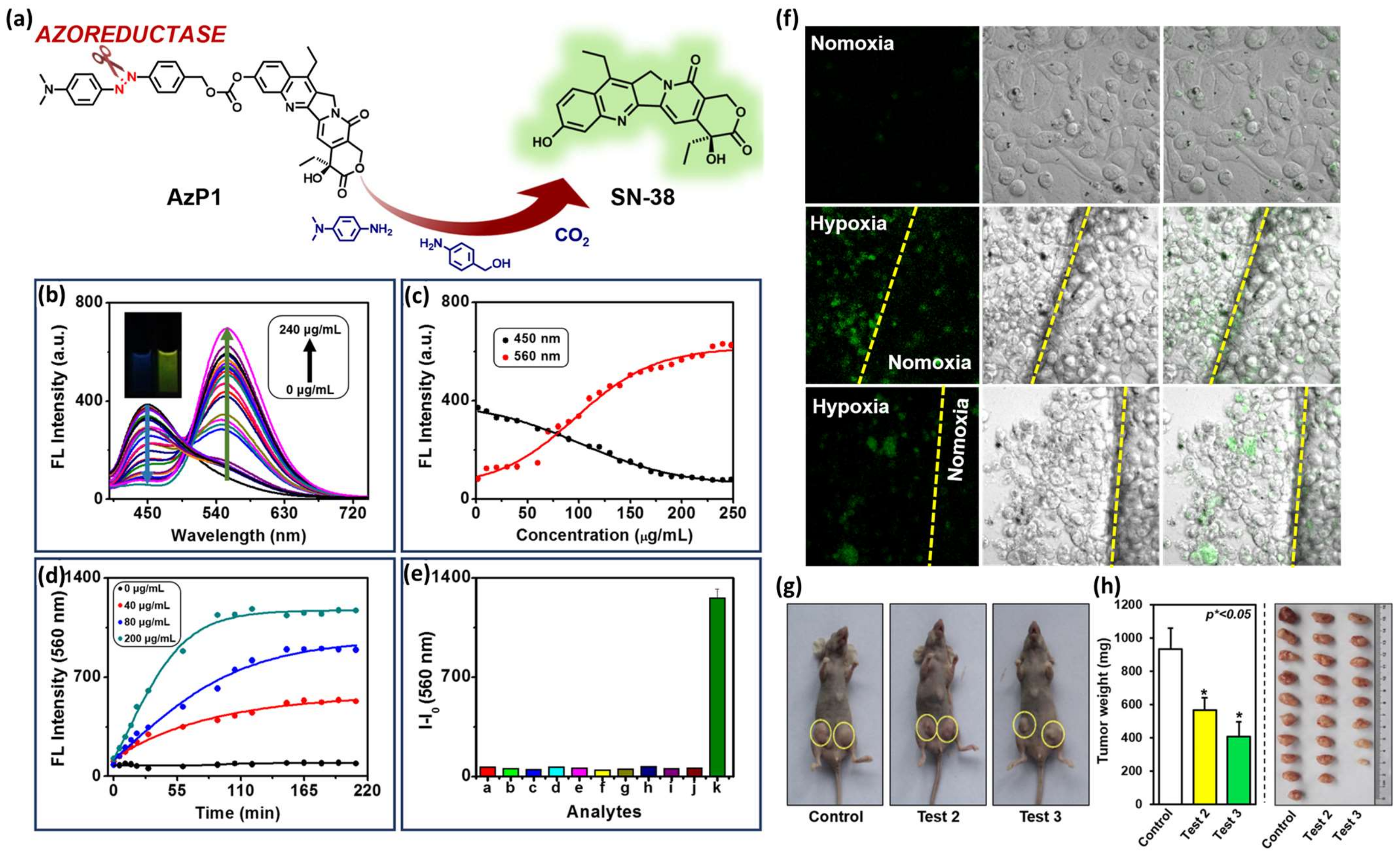 Pharmaceutics 16 00557 g008