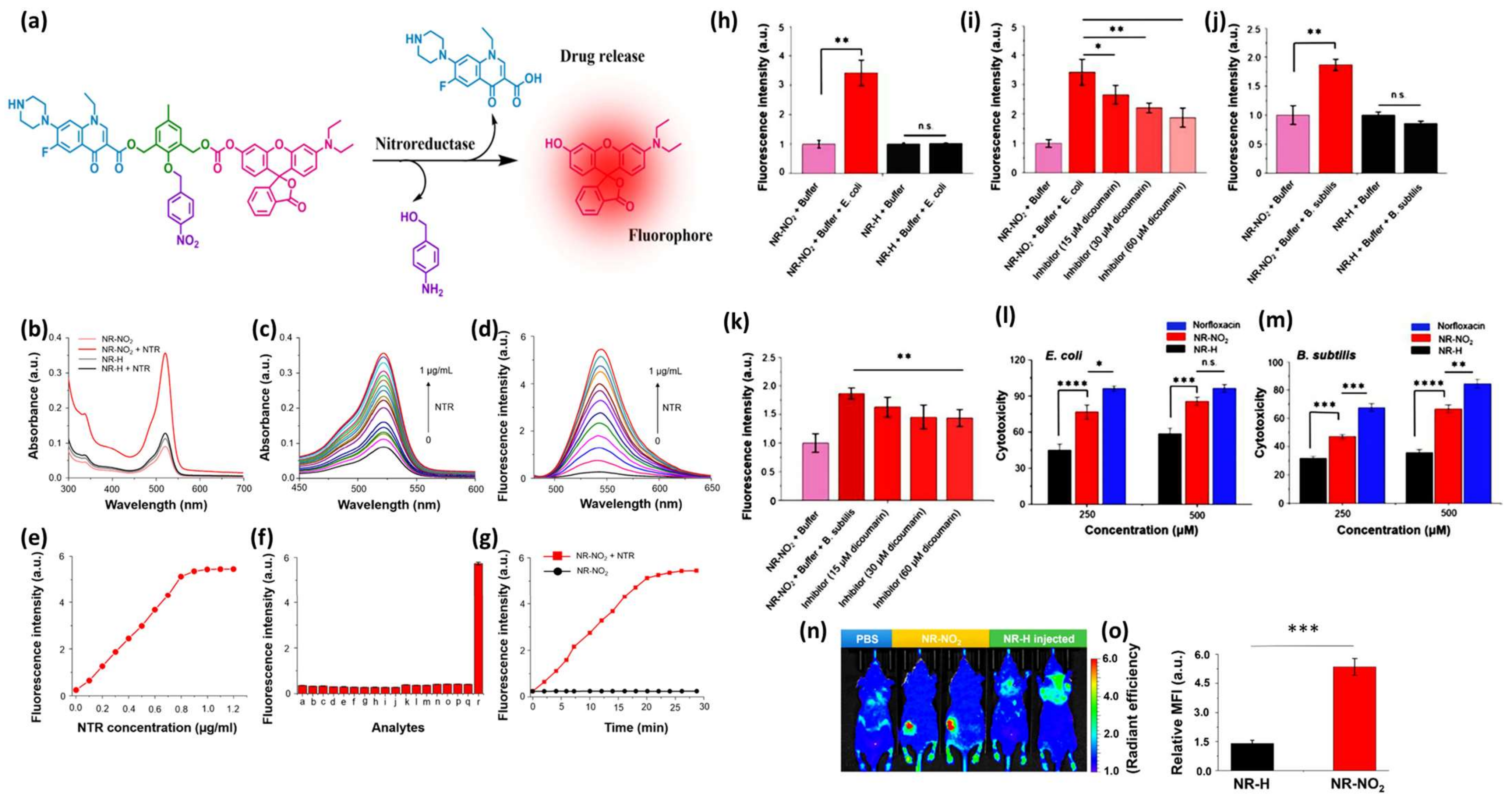 Pharmaceutics 16 00557 g009
