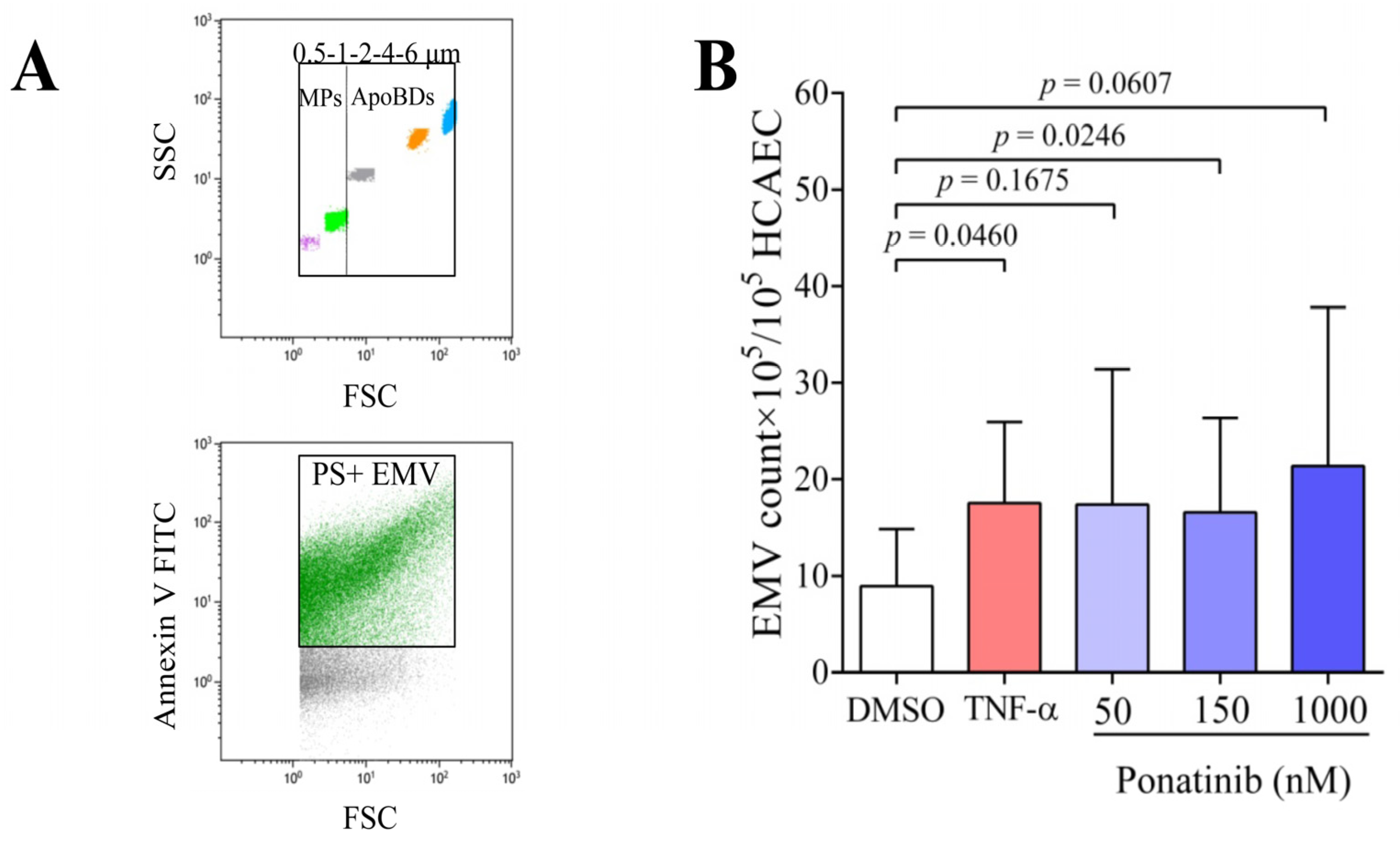 Pharmaceutics 16 00559 g004
