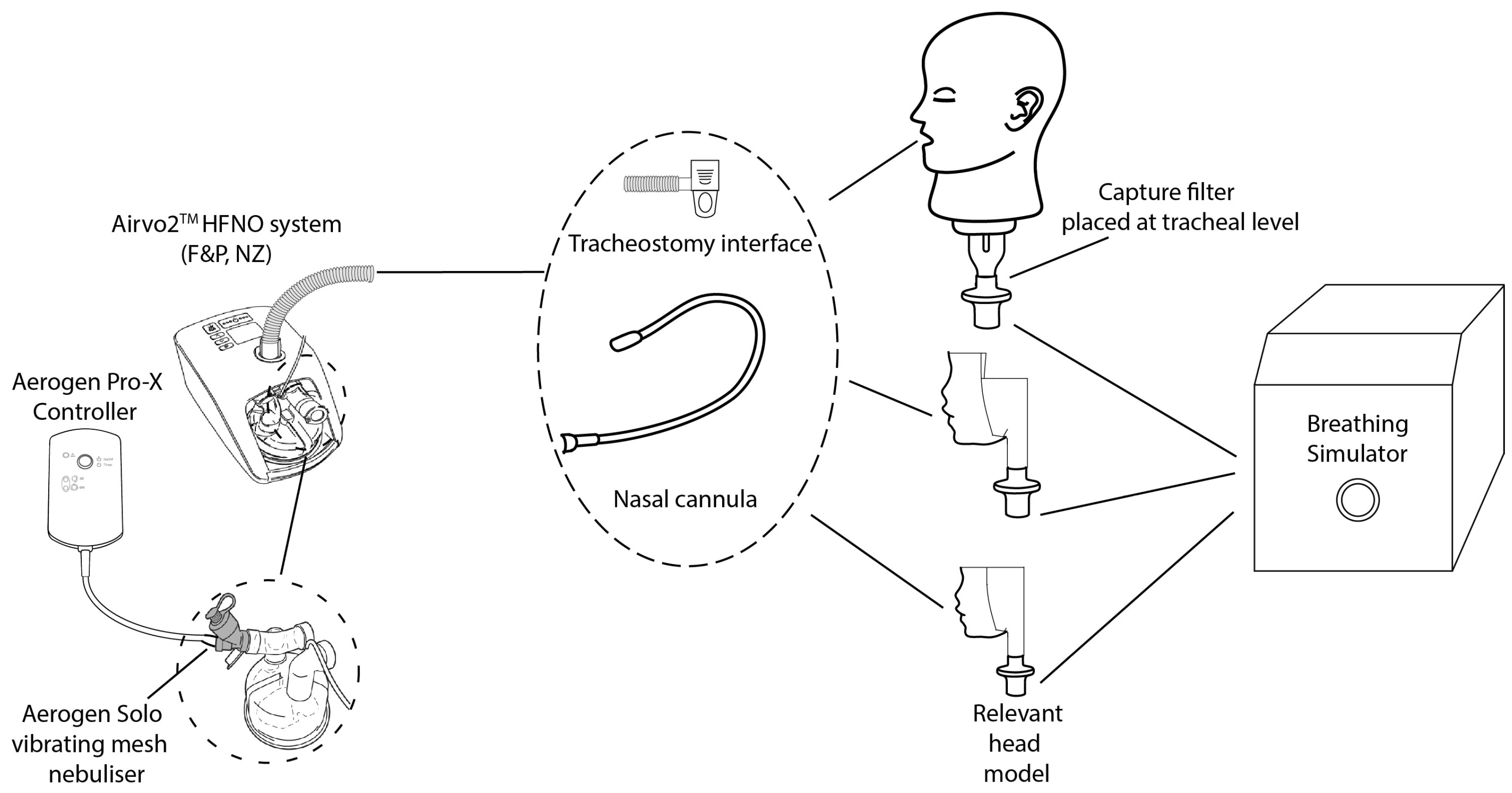 Pharmaceutics 16 00565 g003