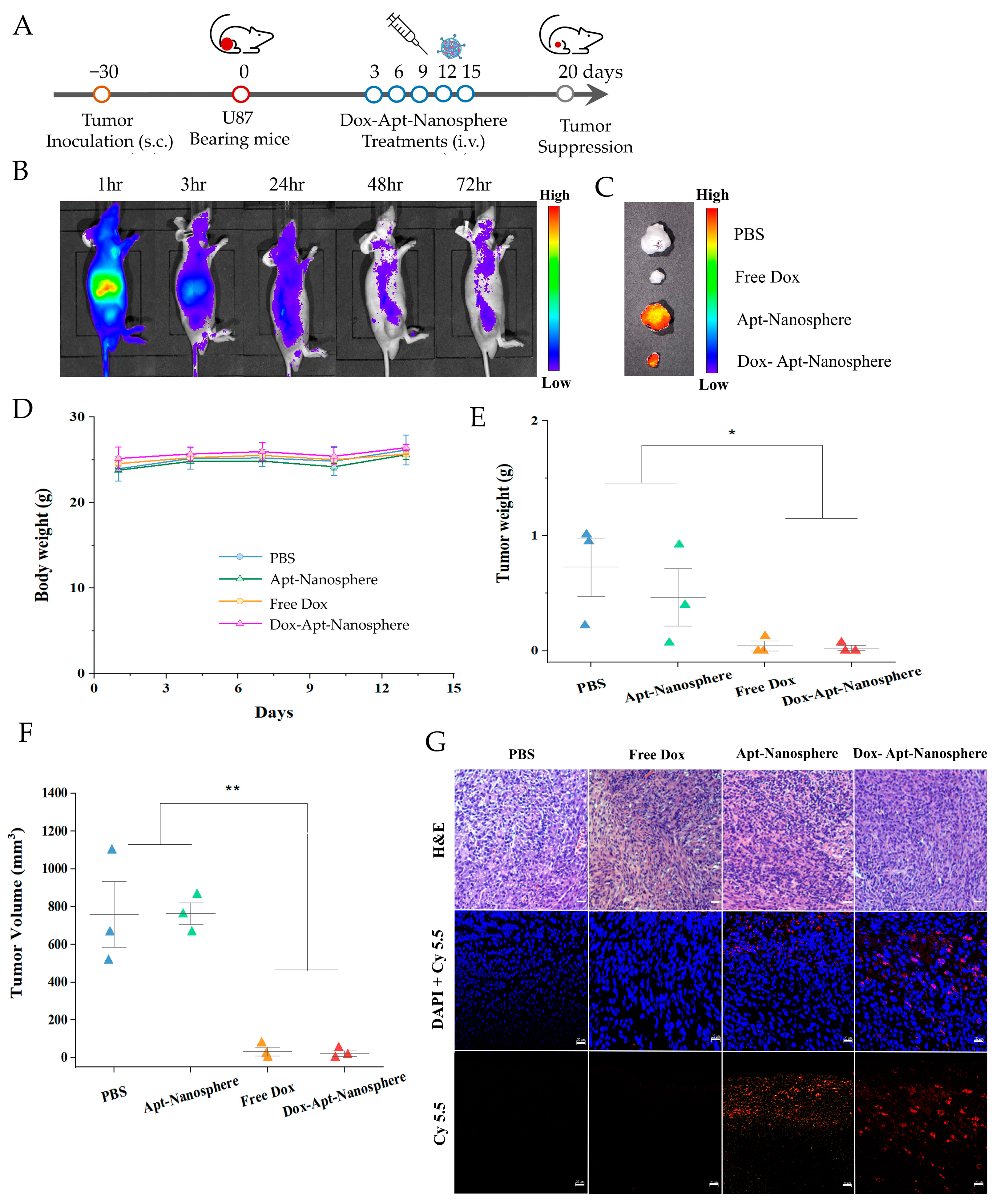 Pharmaceutics 16 00566 g006