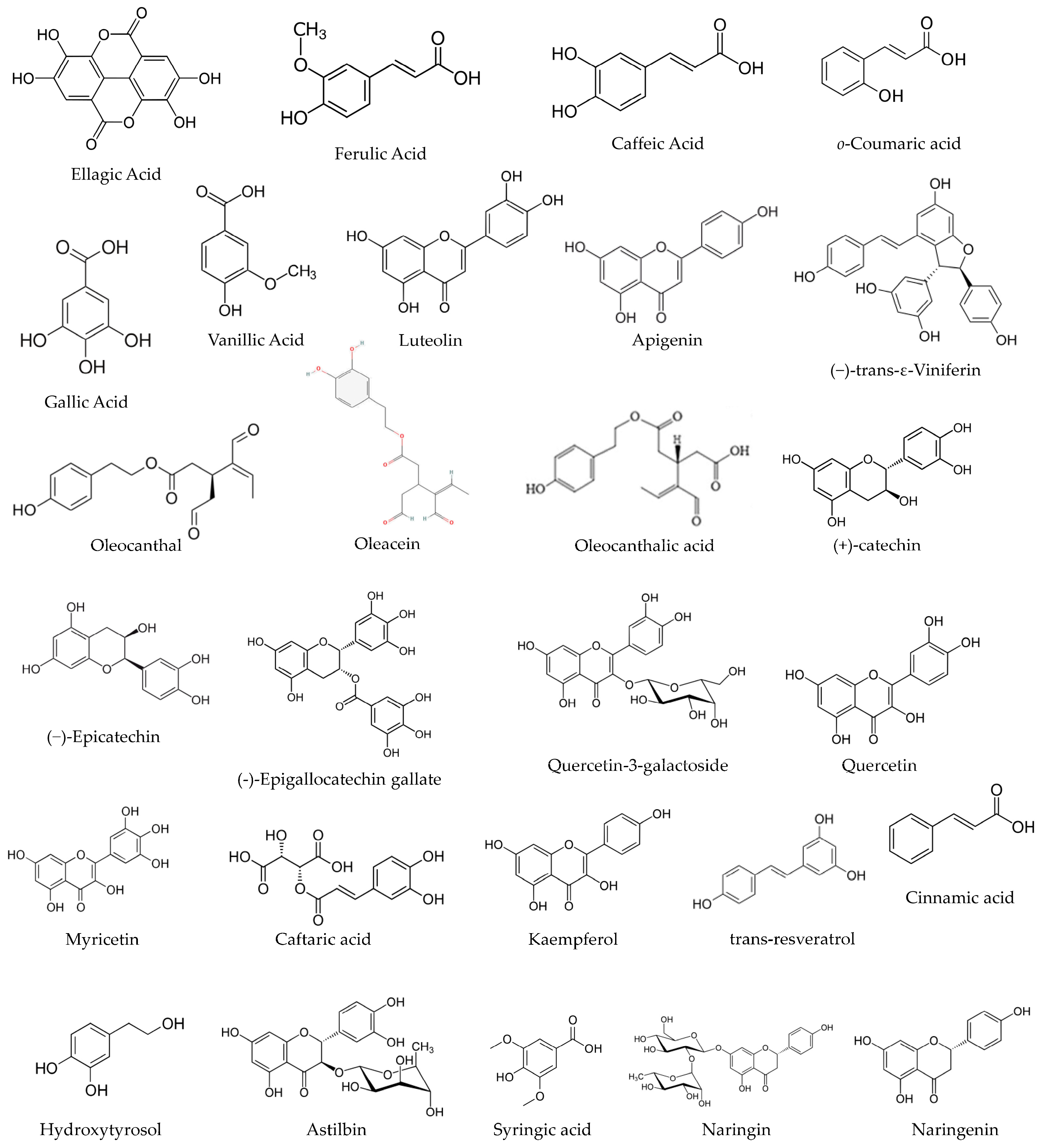 Pharmaceutics 16 00577 g001