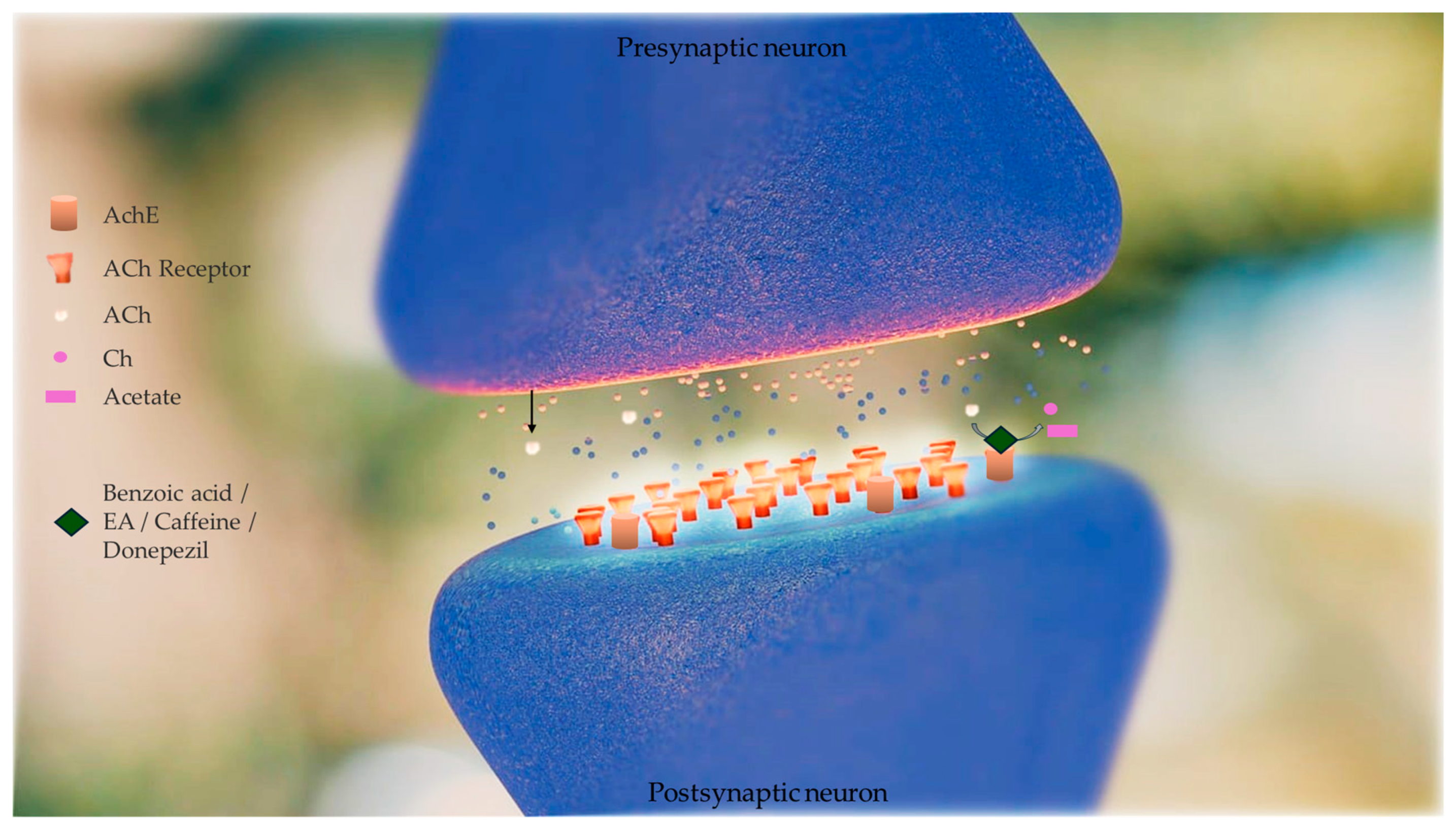 Pharmaceutics 16 00577 g003