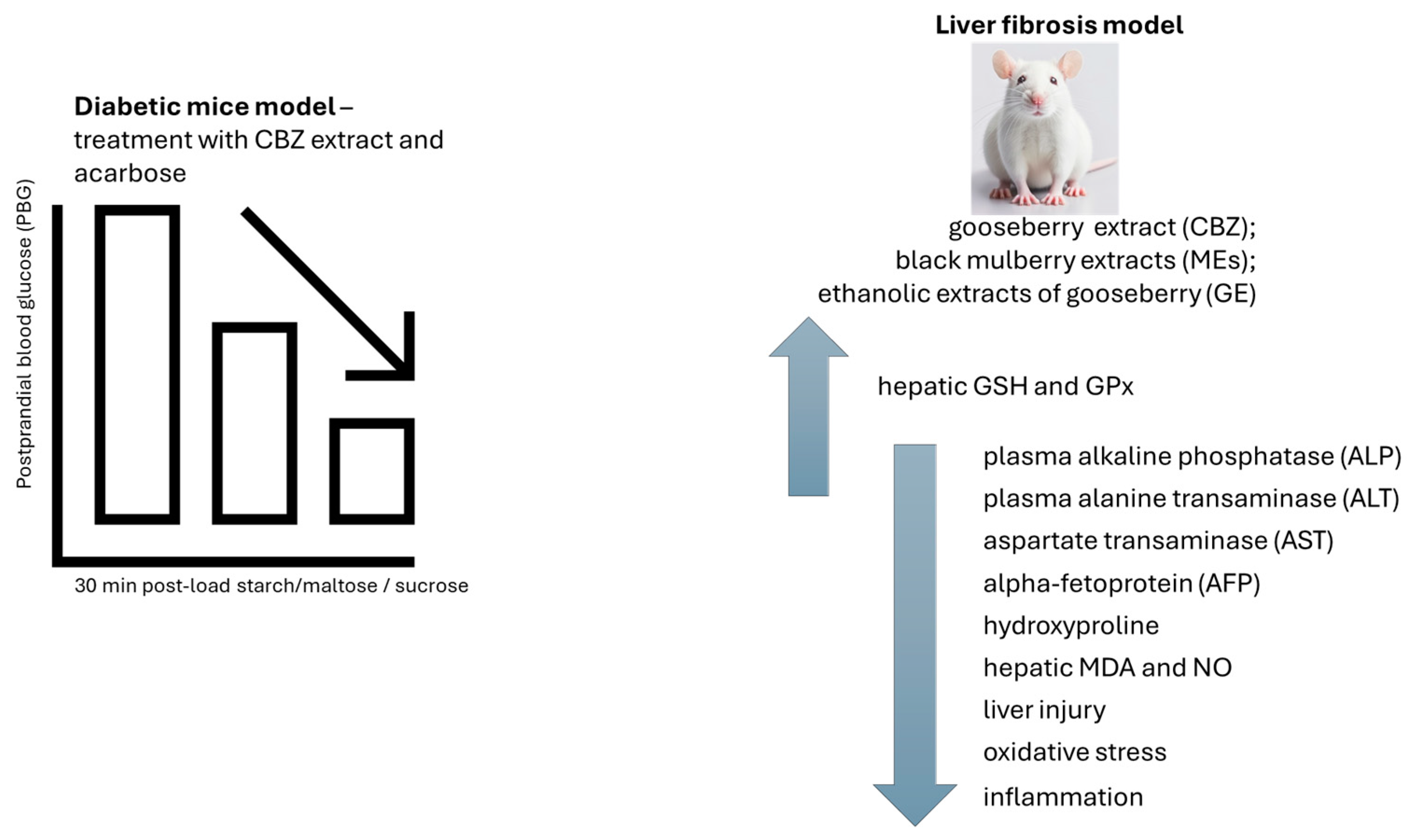 Pharmaceutics 16 00577 g006