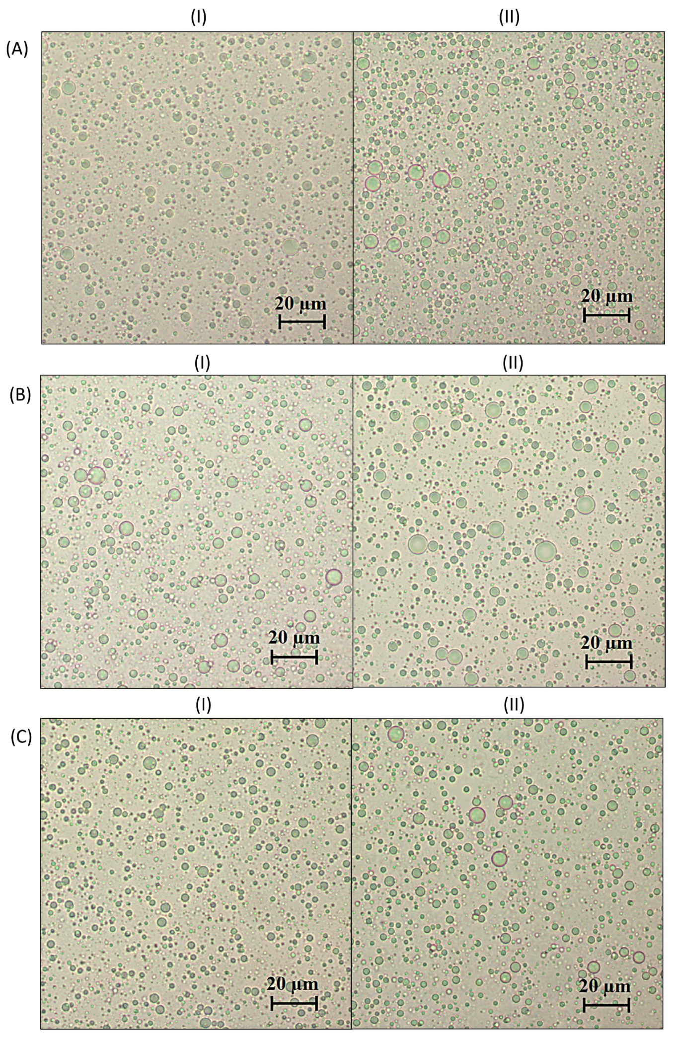 Pharmaceutics 16 00578 g001