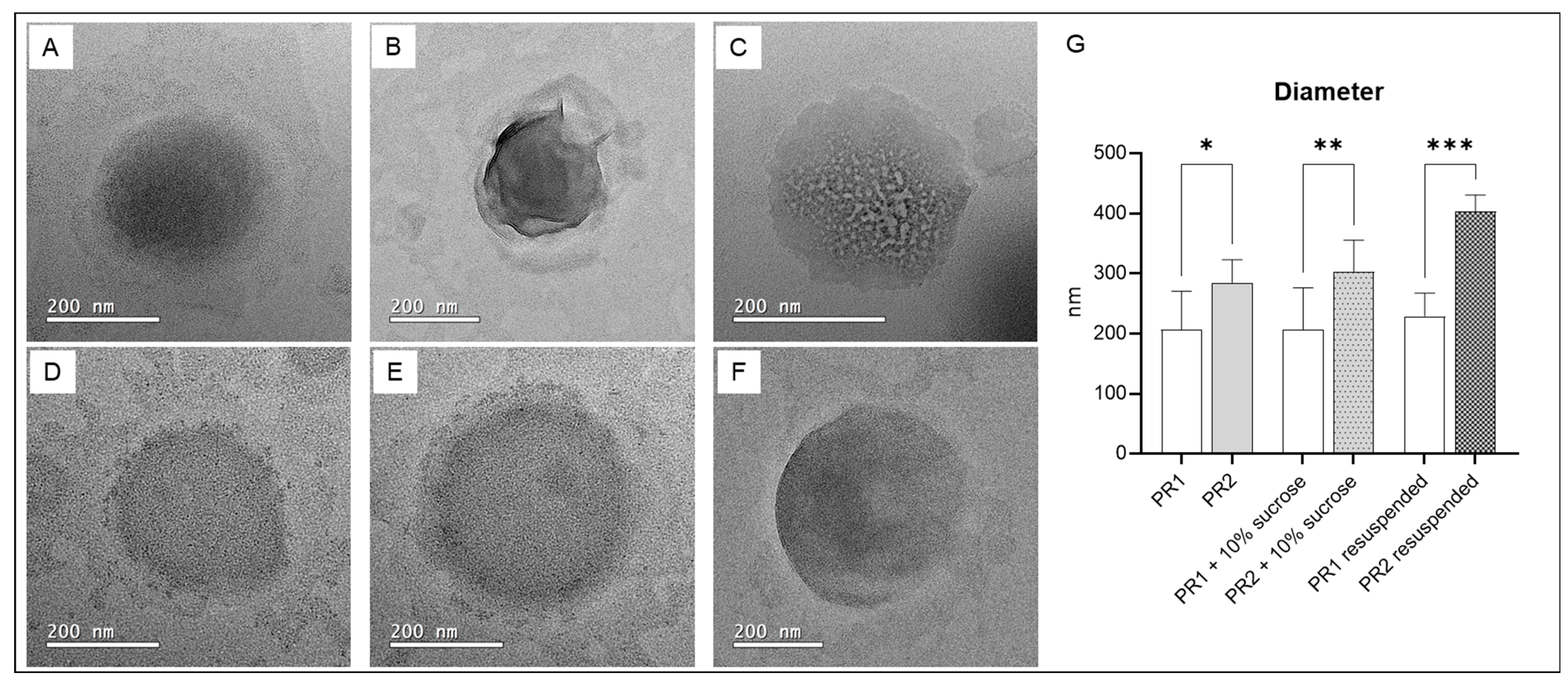 Pharmaceutics 16 00595 g004