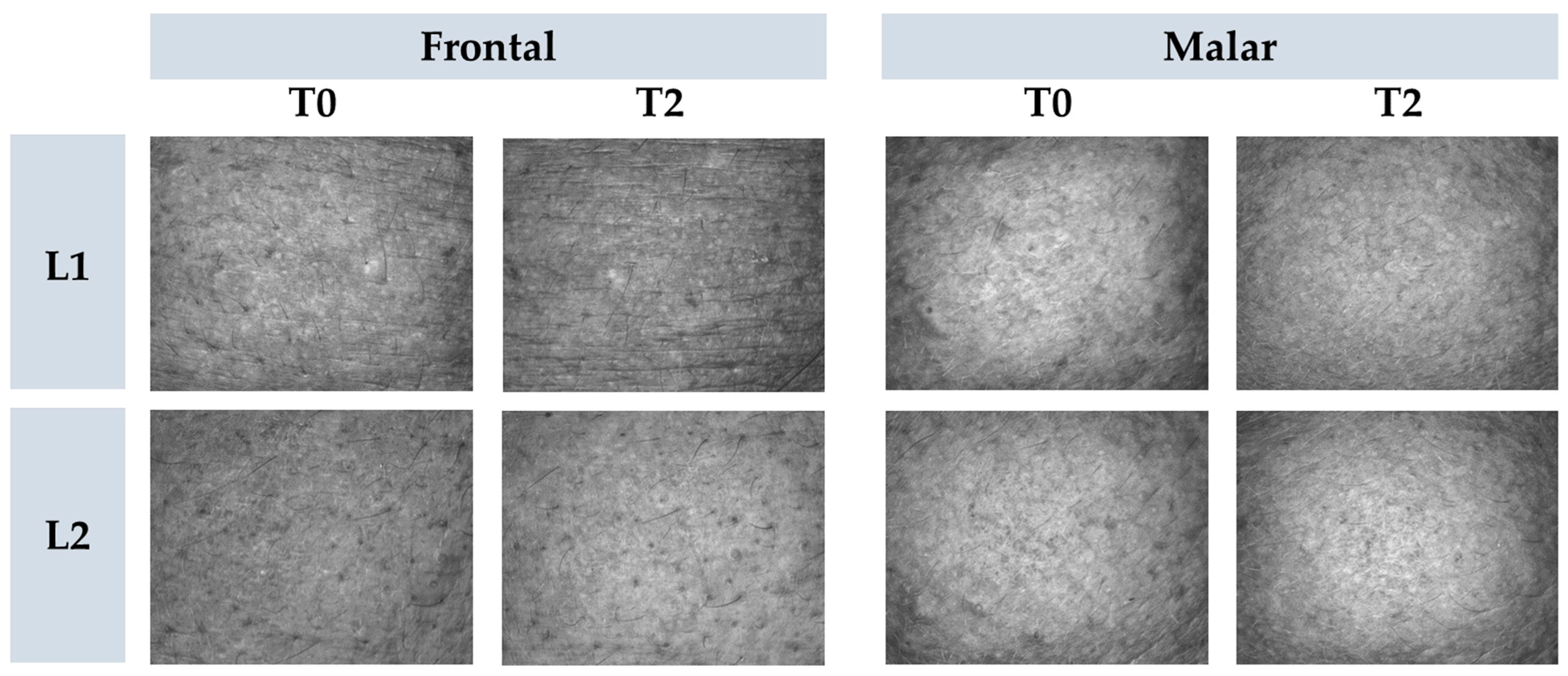 Pharmaceutics 16 00595 g008
