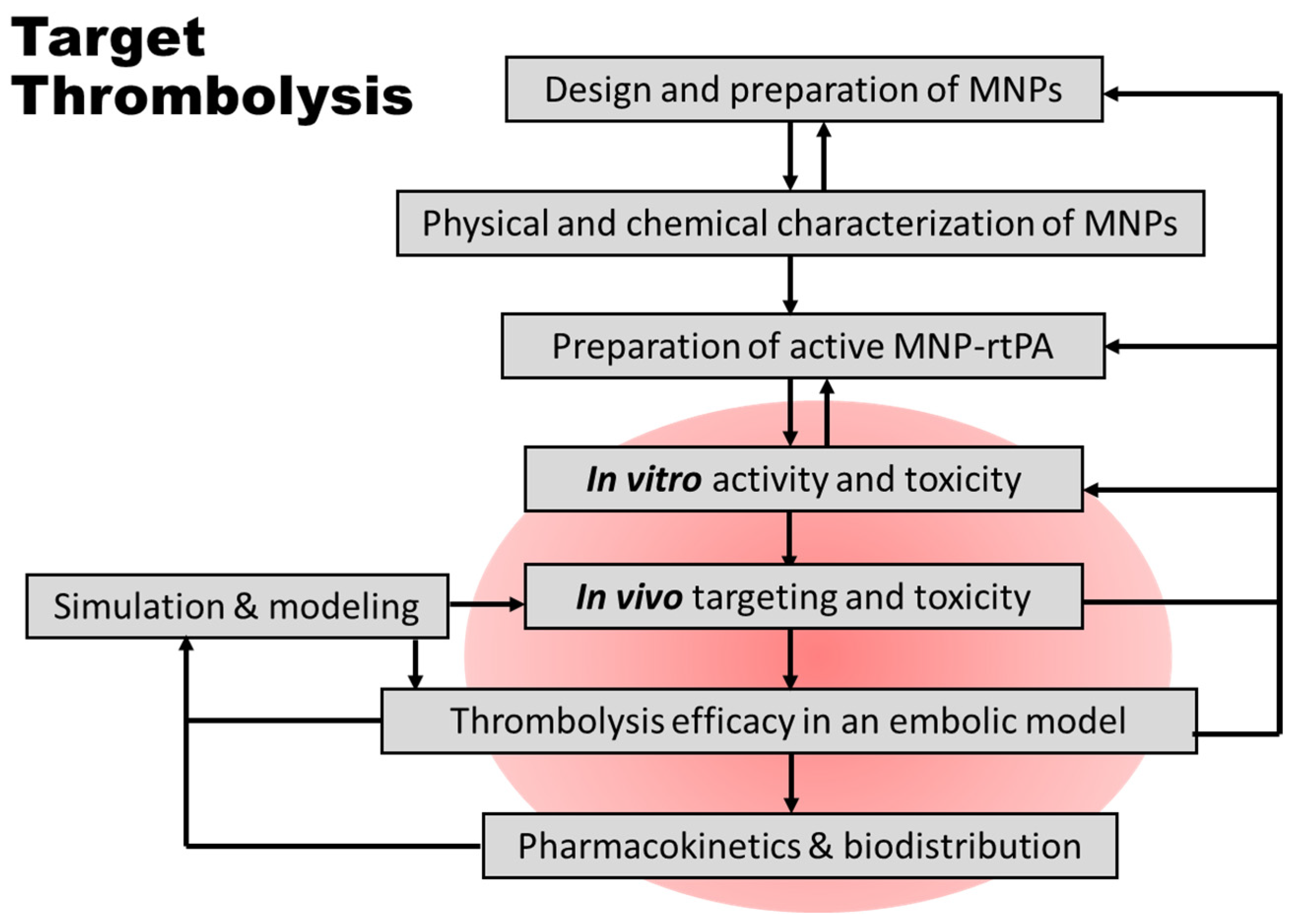 Pharmaceutics 16 00596 g007