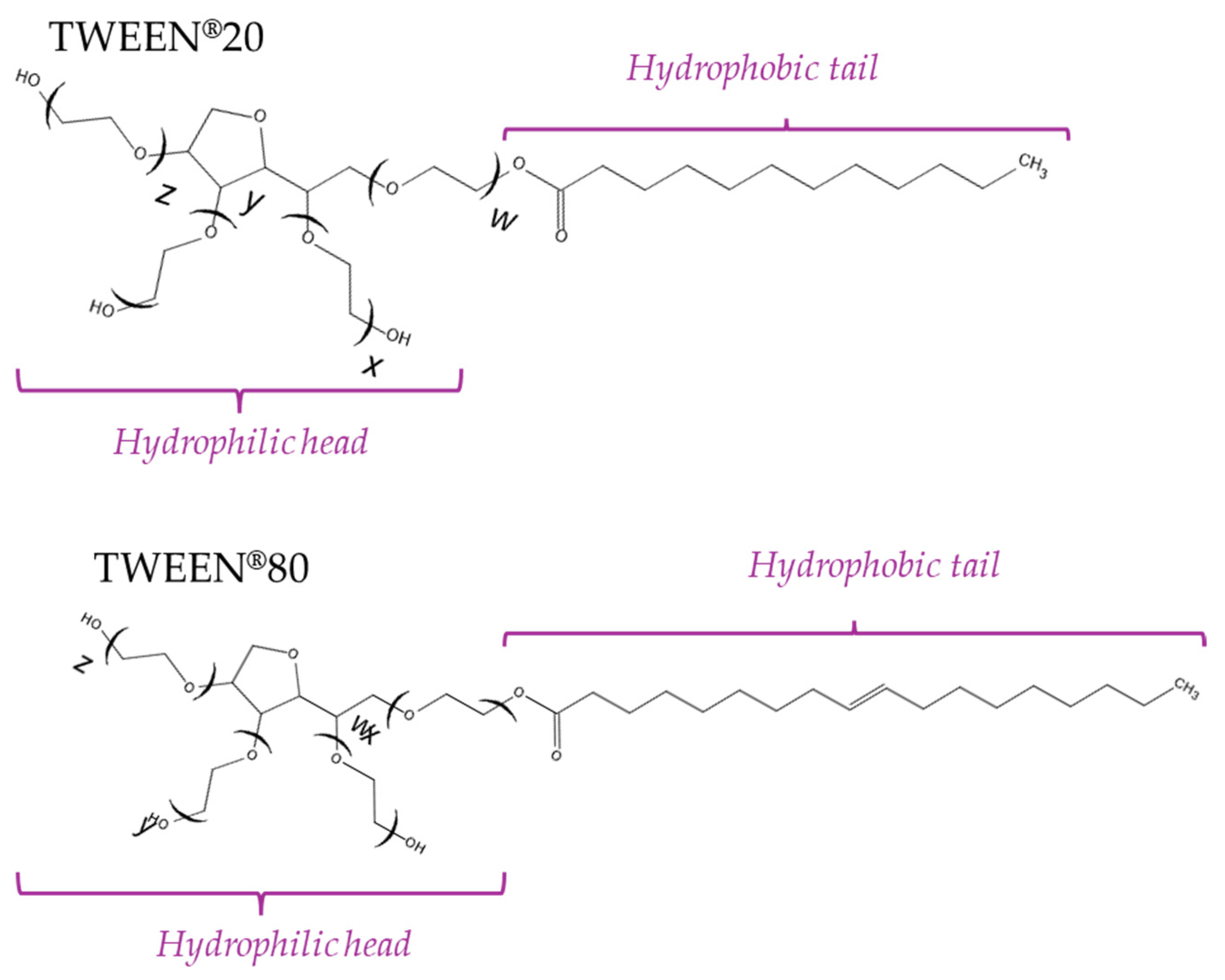 Pharmaceutics 16 00600 g008