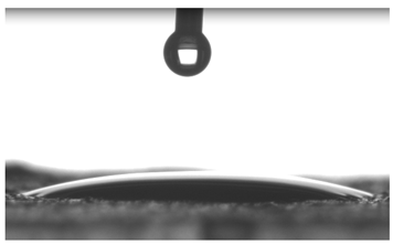 Pharmaceutics 16 00600 i006