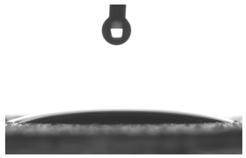 Pharmaceutics 16 00600 i008