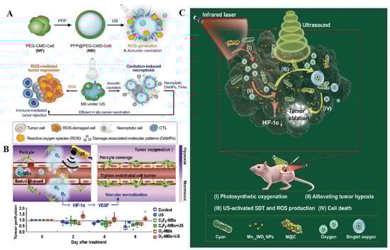 Pharmaceutics 16 00603 g003