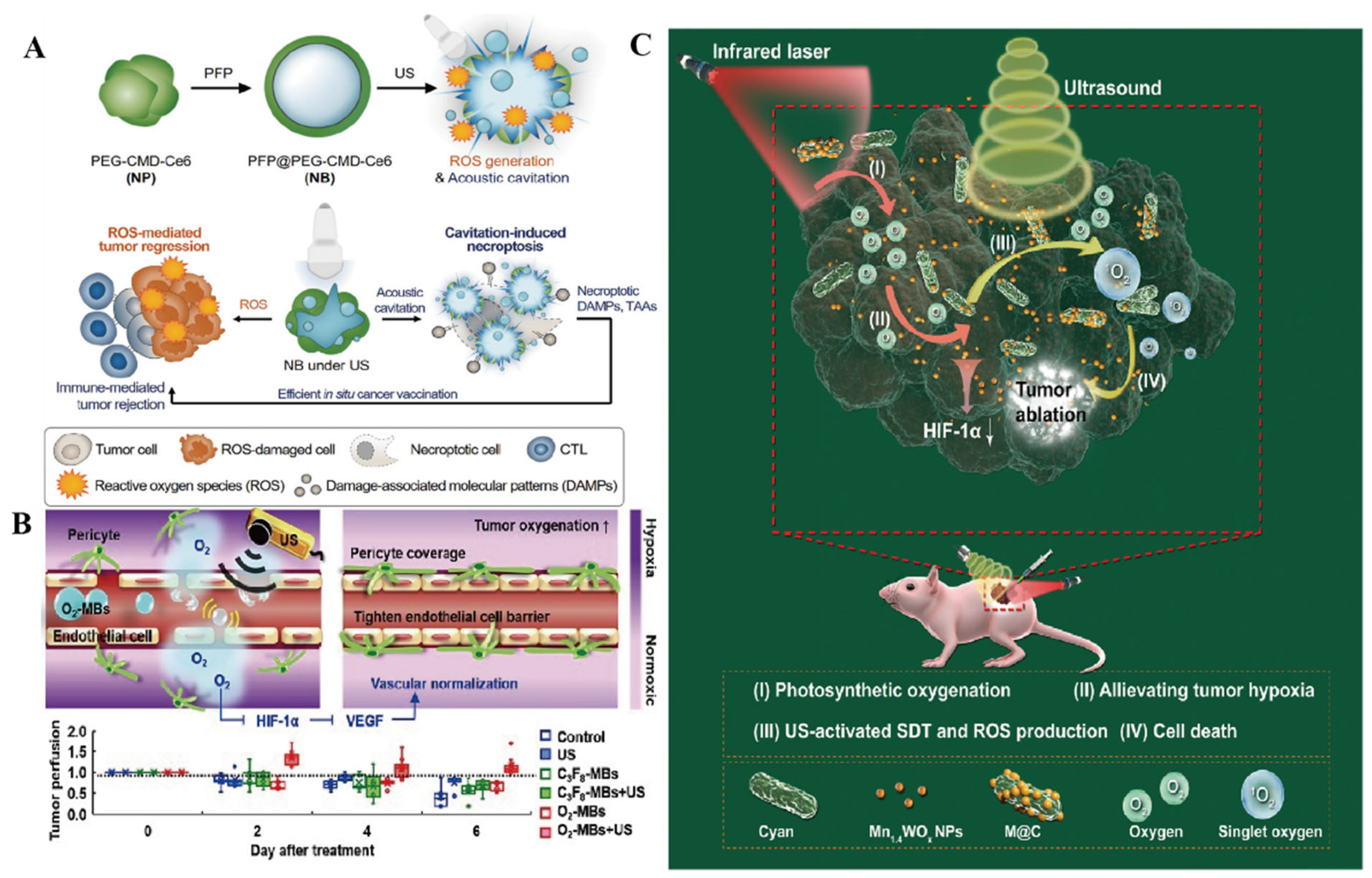 Pharmaceutics 16 00603 g003 Pharmaceutics 16 00603 g003