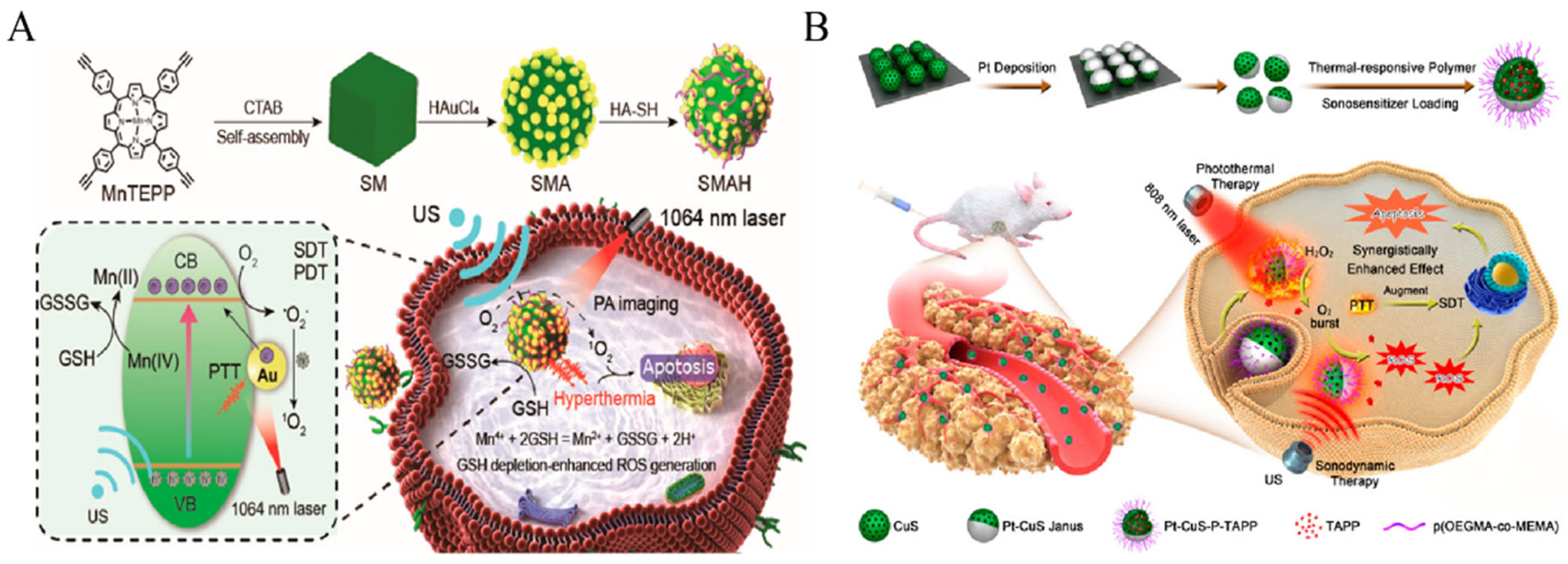 Pharmaceutics 16 00603 g005 Pharmaceutics 16 00603 g005