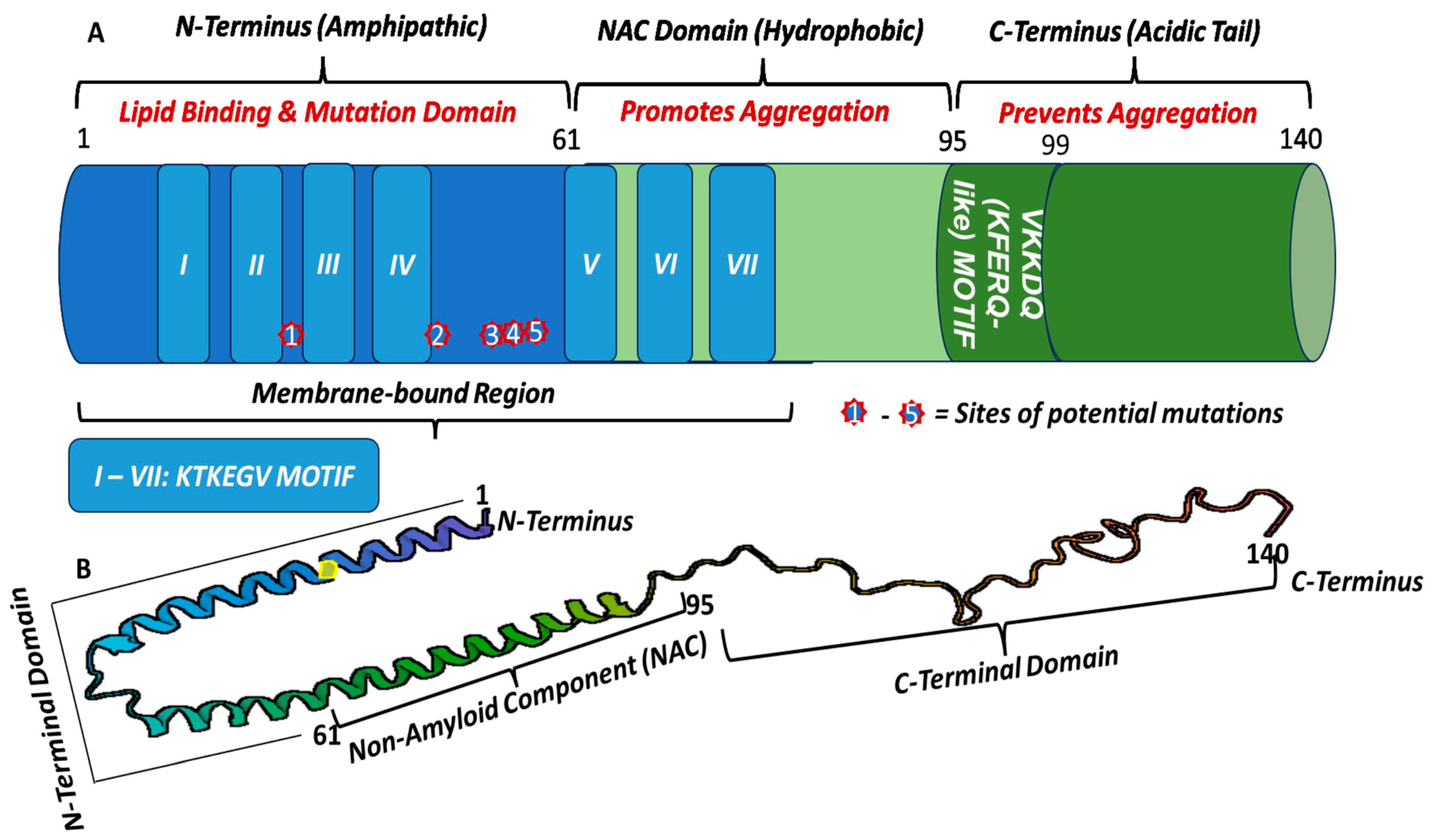 Pharmaceutics 16 00609 g001