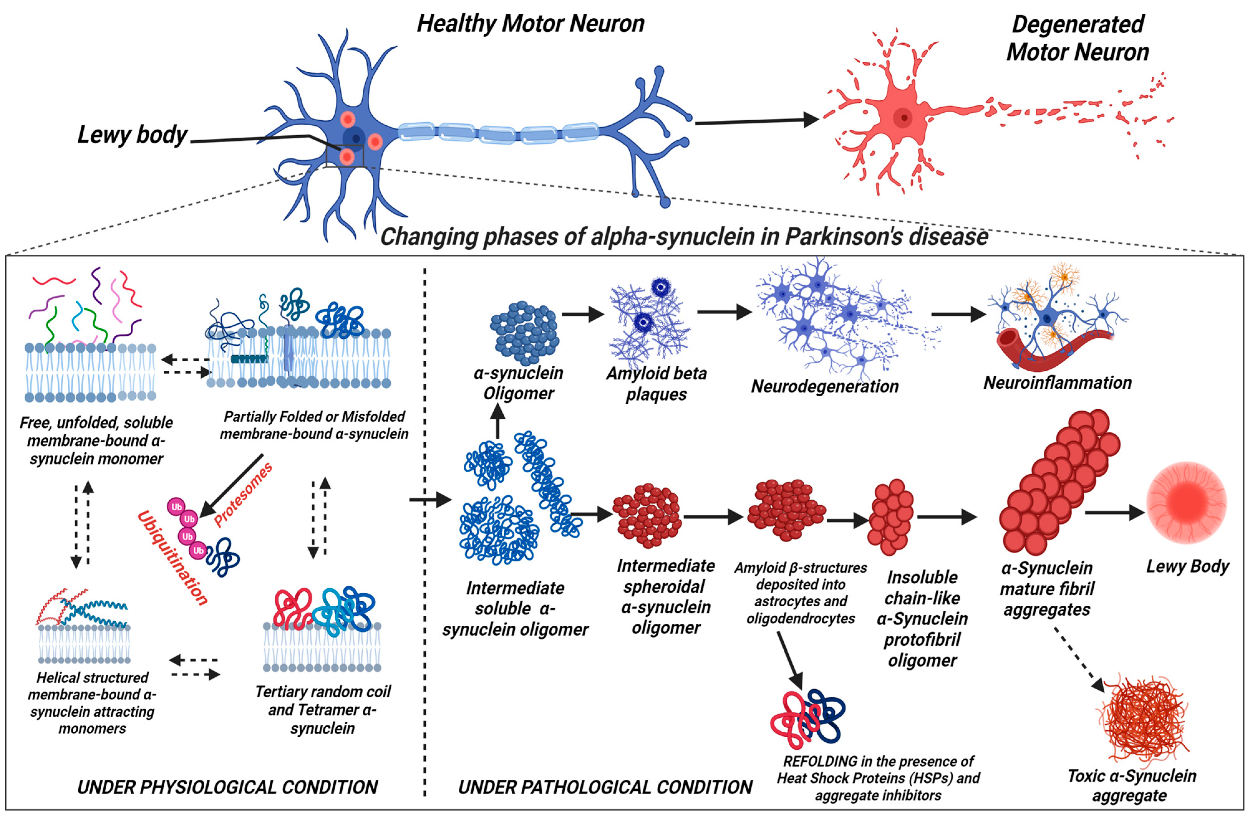 Pharmaceutics 16 00609 g002