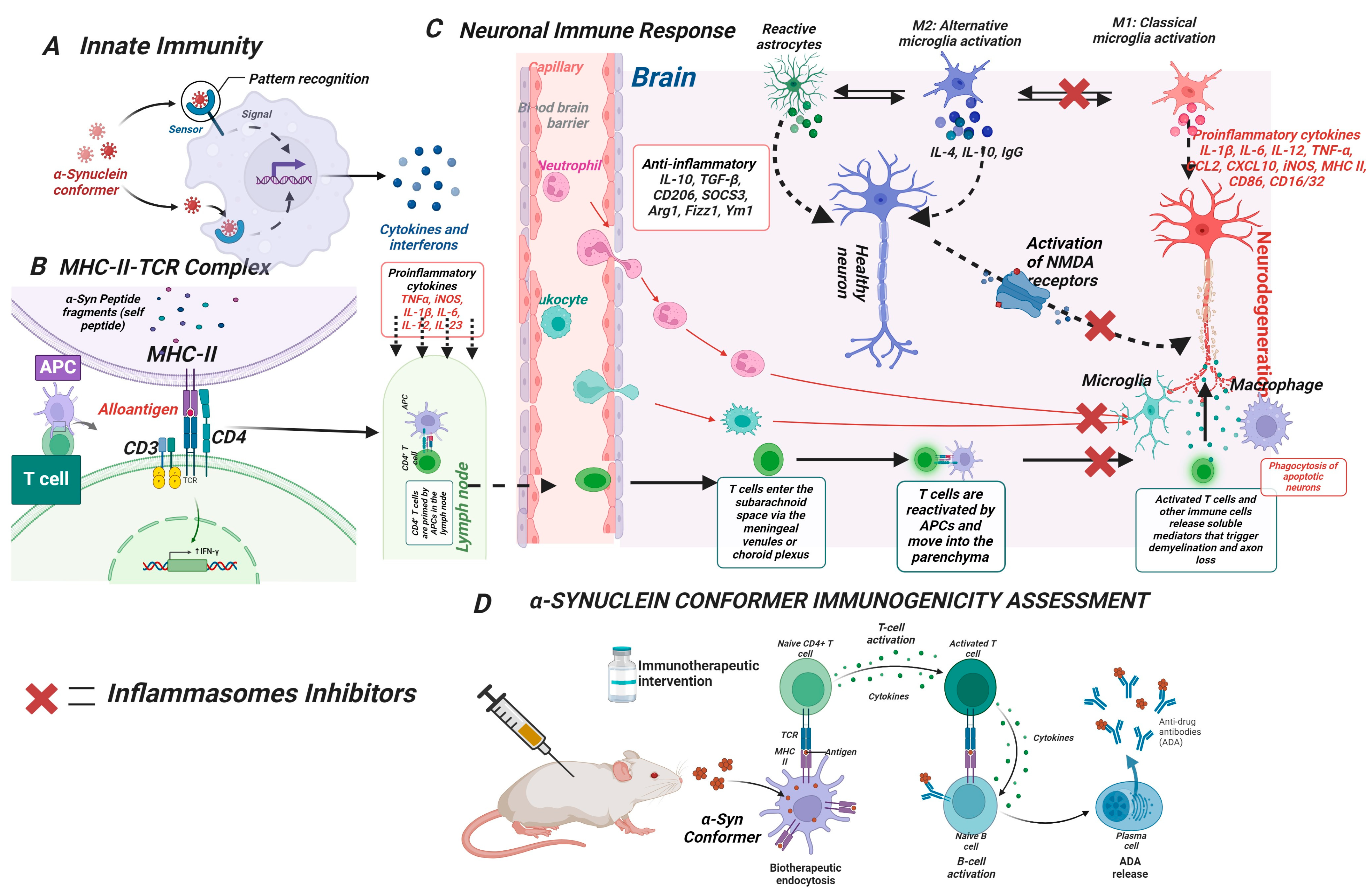 Pharmaceutics 16 00609 g004