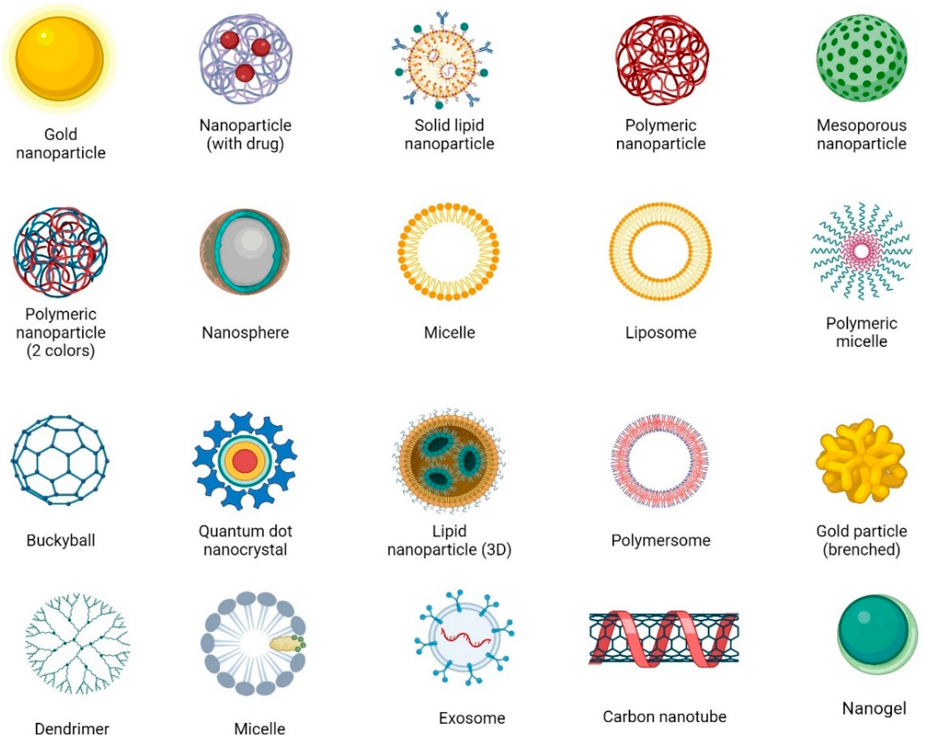 Pharmaceutics 16 00609 g005