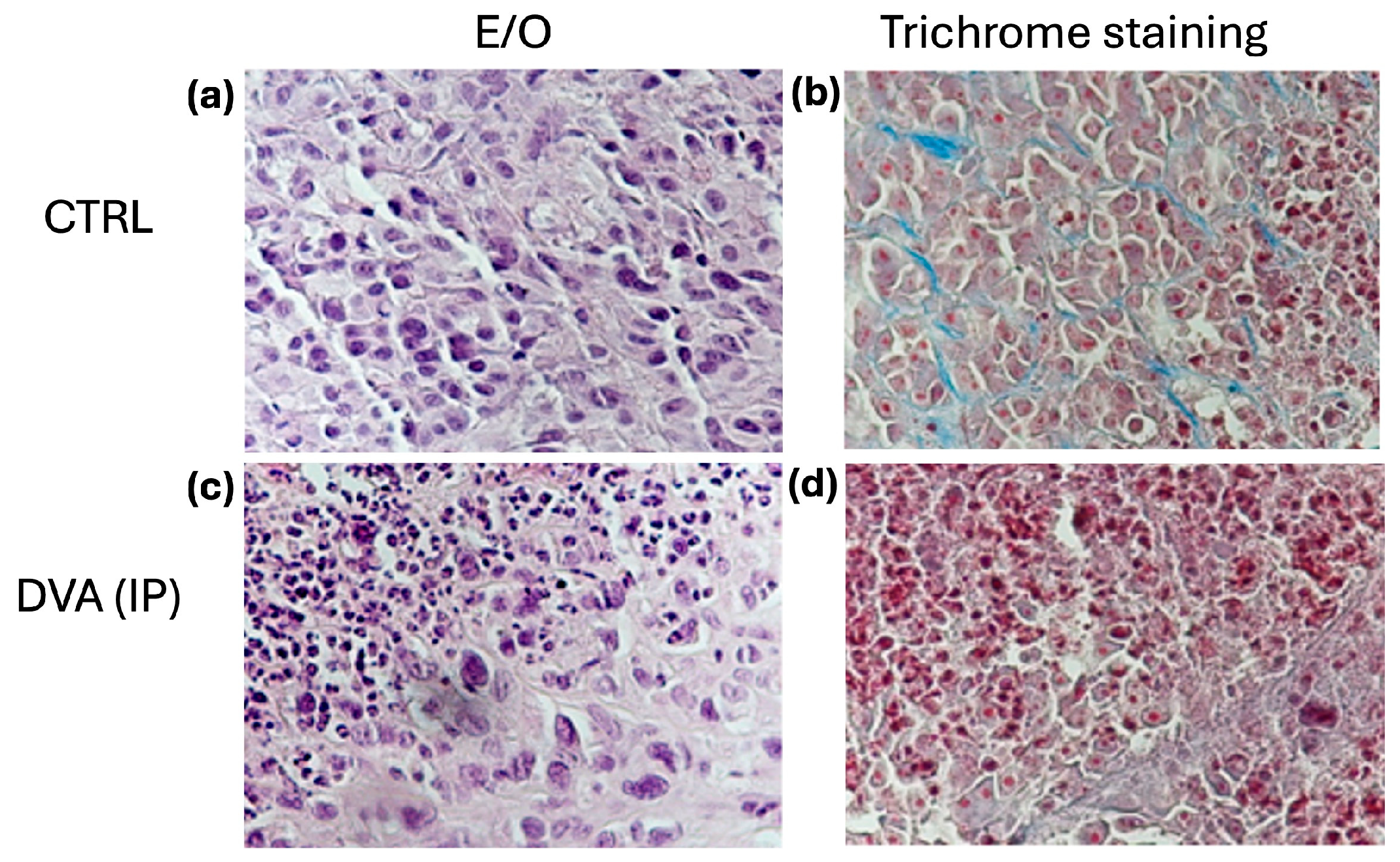 Pharmaceutics 16 00610 g006 Pharmaceutics 16 00610 g006