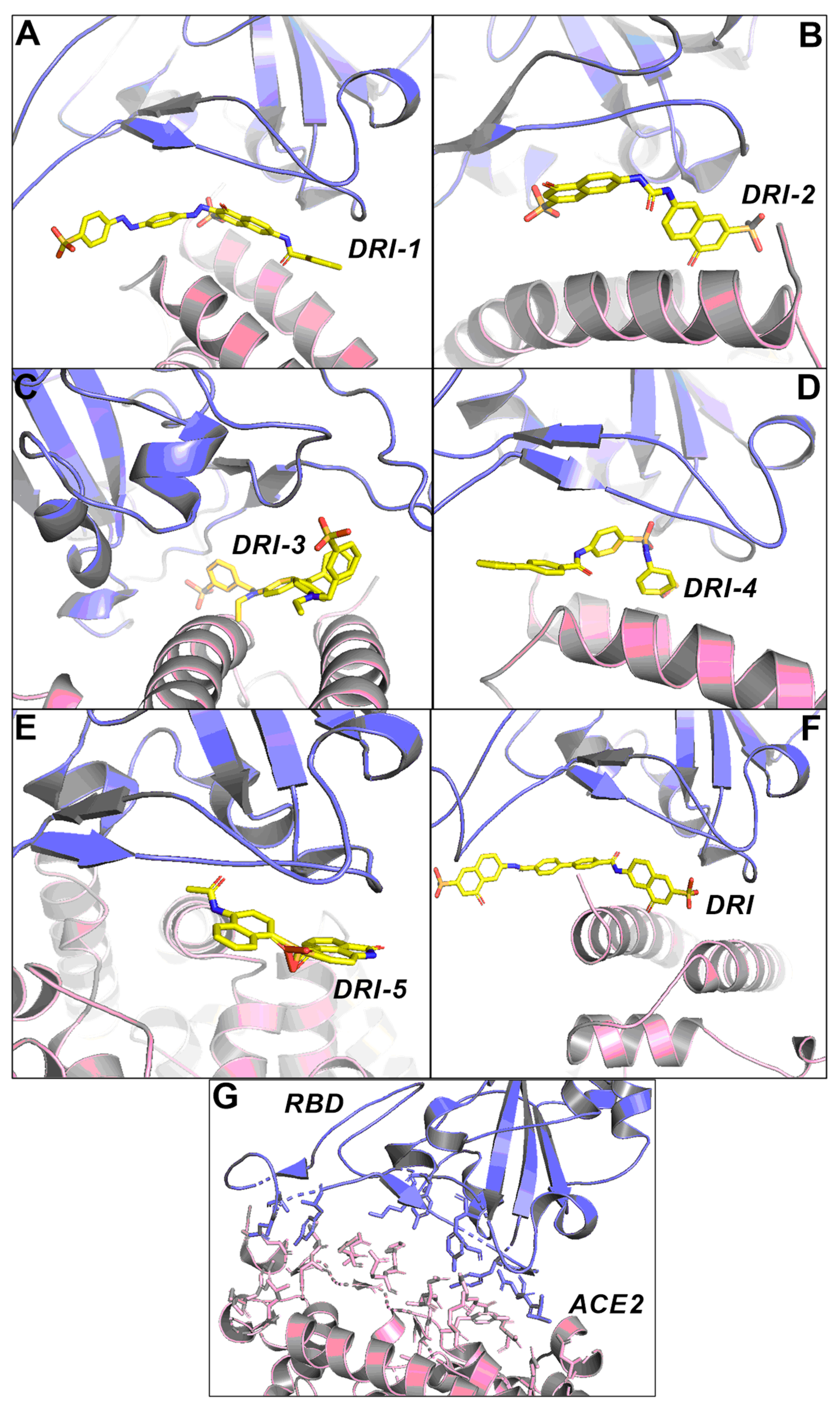 Pharmaceutics 16 00613 g005 Pharmaceutics 16 00613 g005