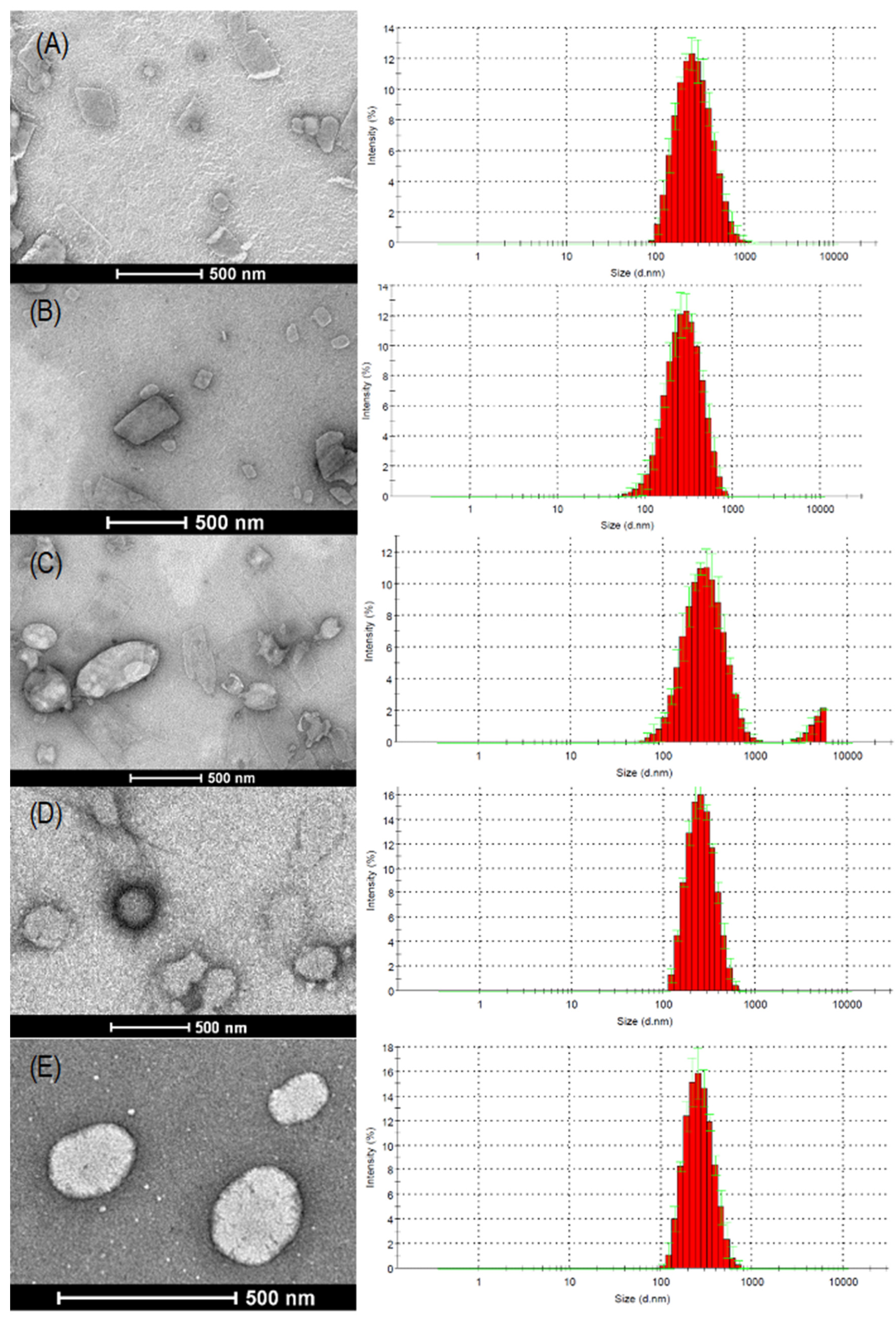 Pharmaceutics 16 00618 g001