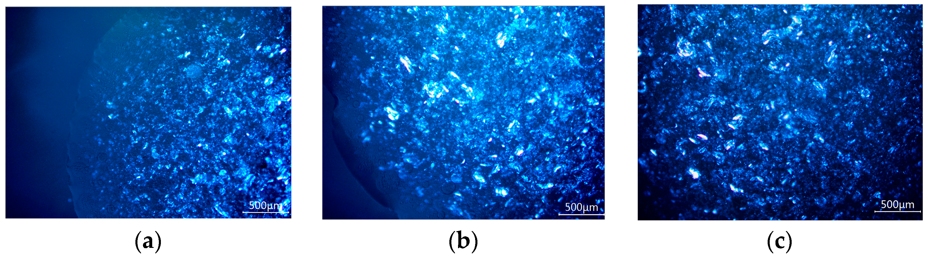 Pharmaceutics 16 00620 g007 Pharmaceutics 16 00620 g007
