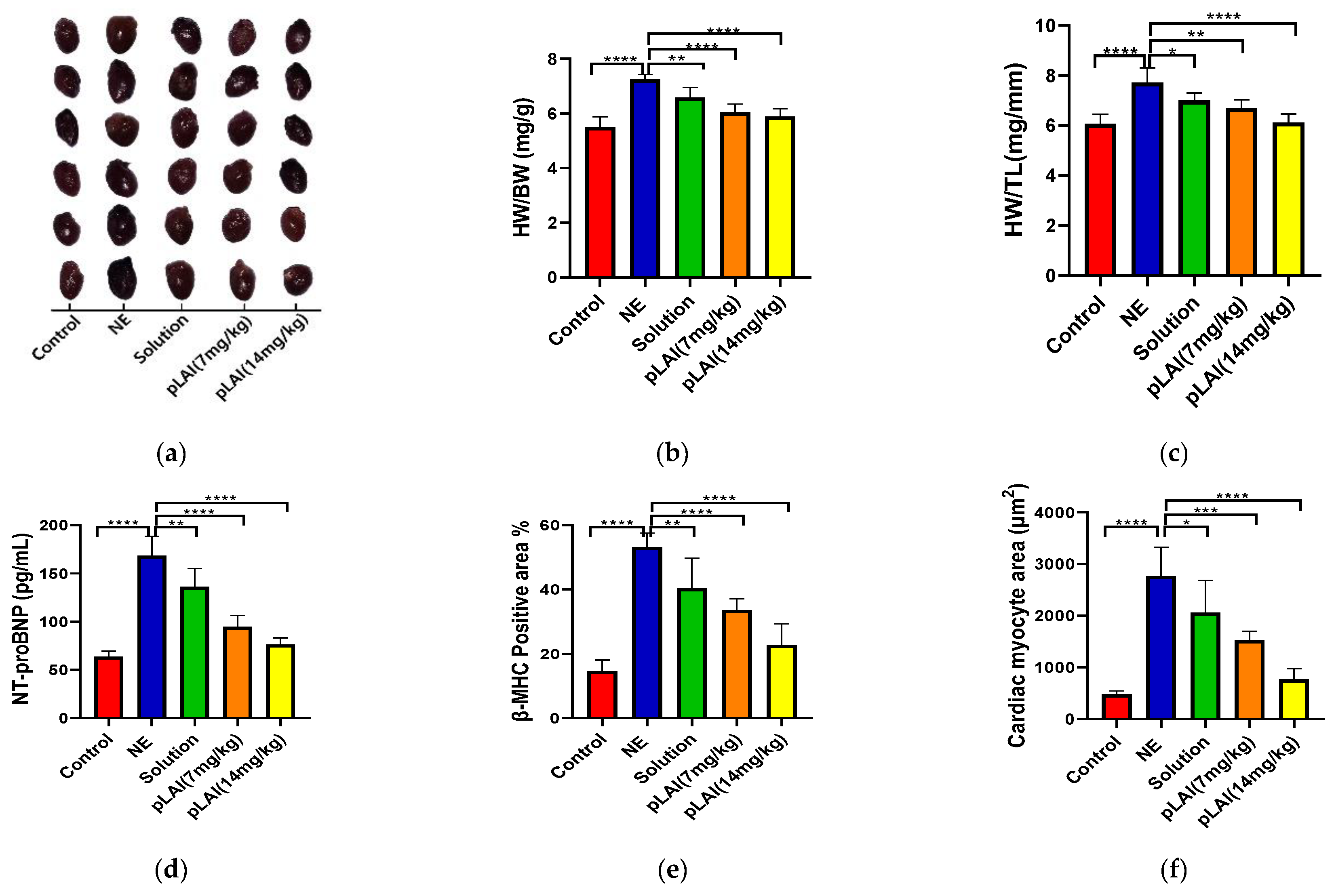 Pharmaceutics 16 00620 g009a Pharmaceutics 16 00620 g009a