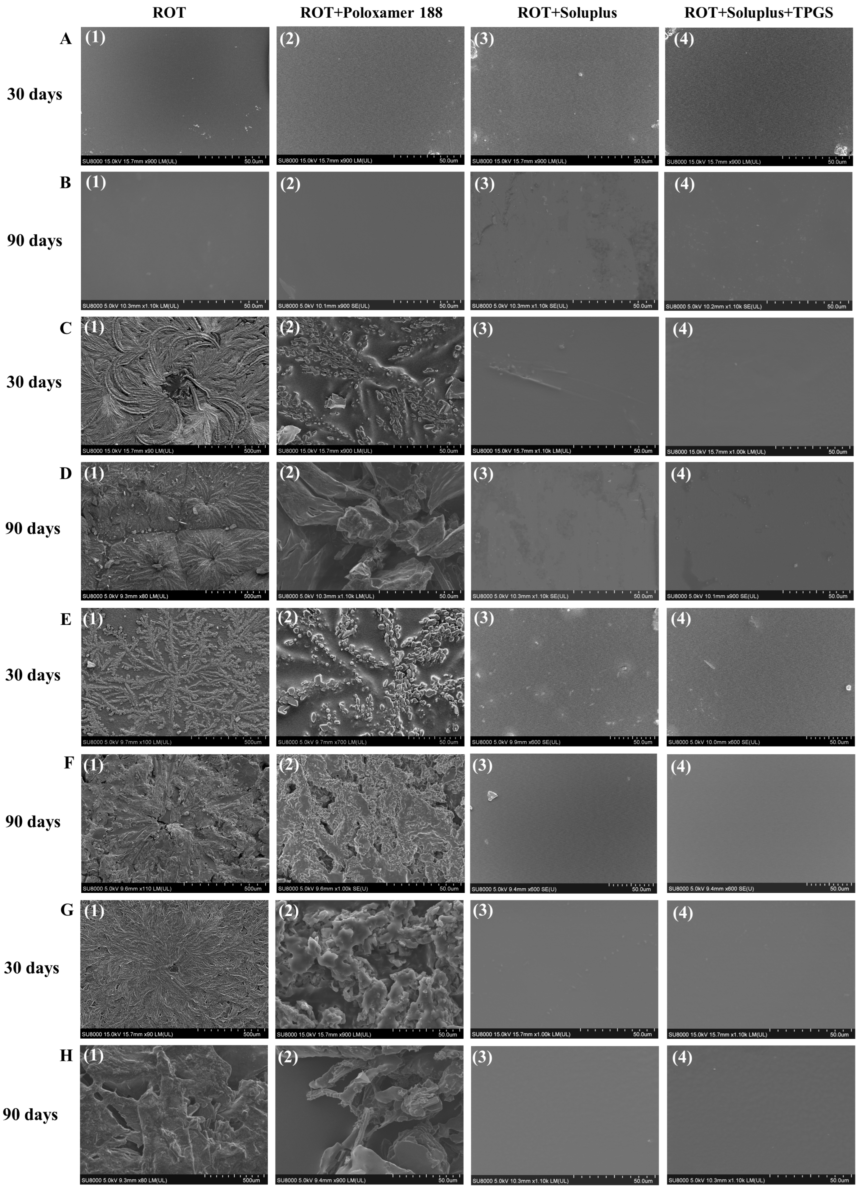 Pharmaceutics 16 00630 g003
