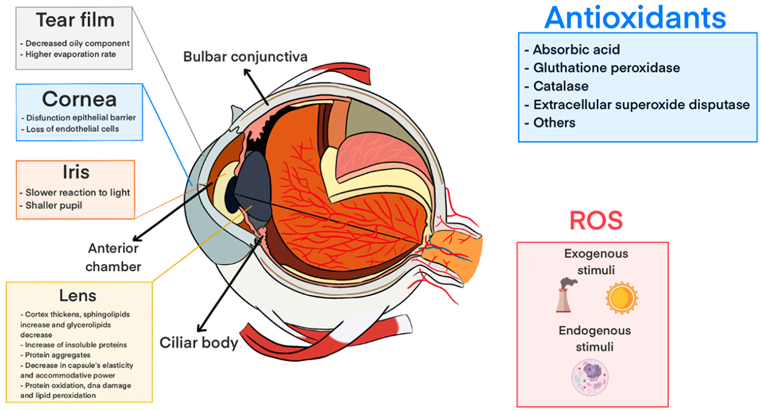 Pharmaceutics 16 00631 g002